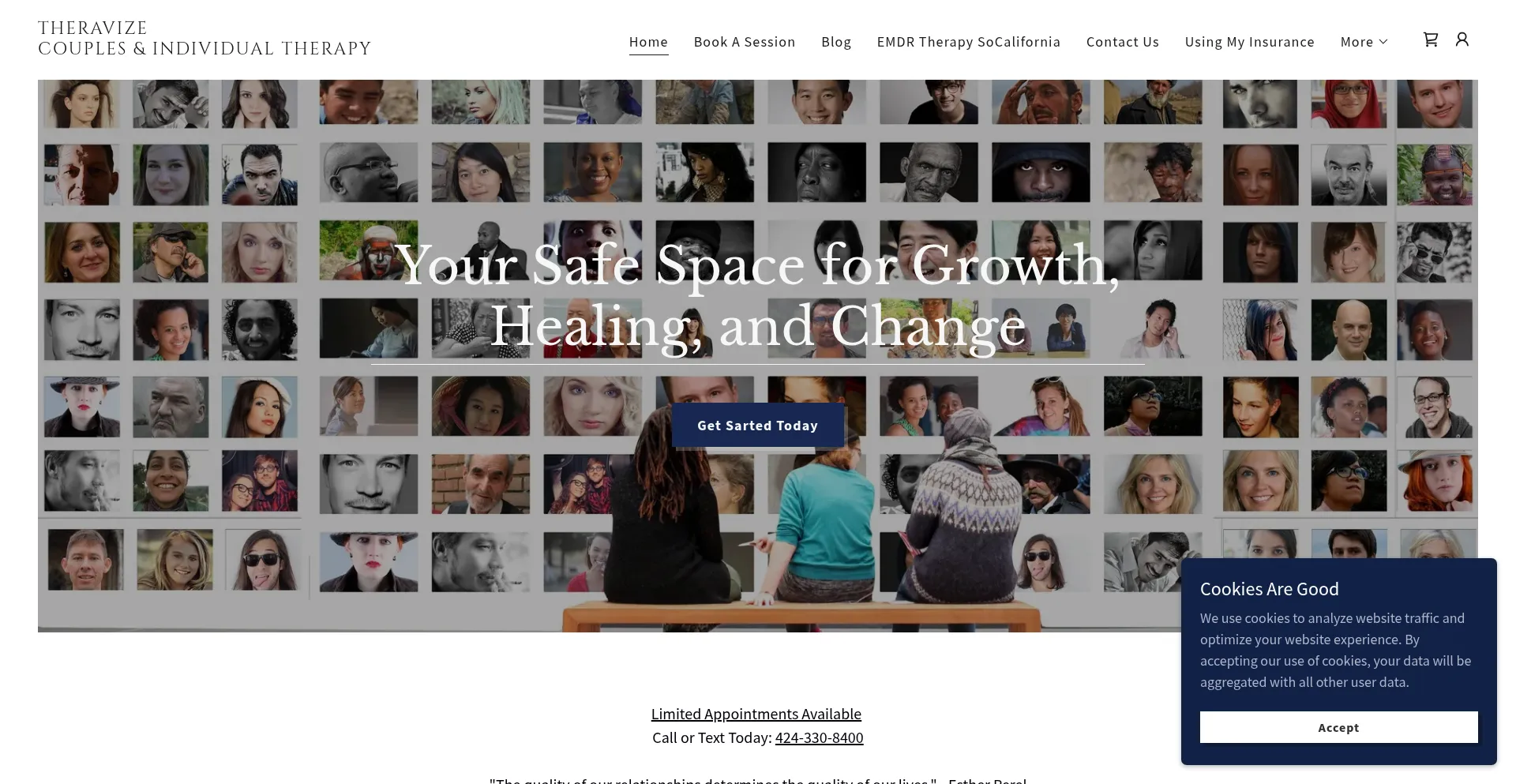 Website screenshot of Theravize.com
