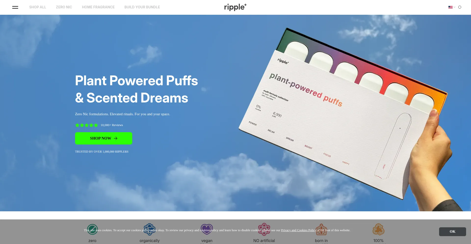 Website screenshot of Therippleco.com