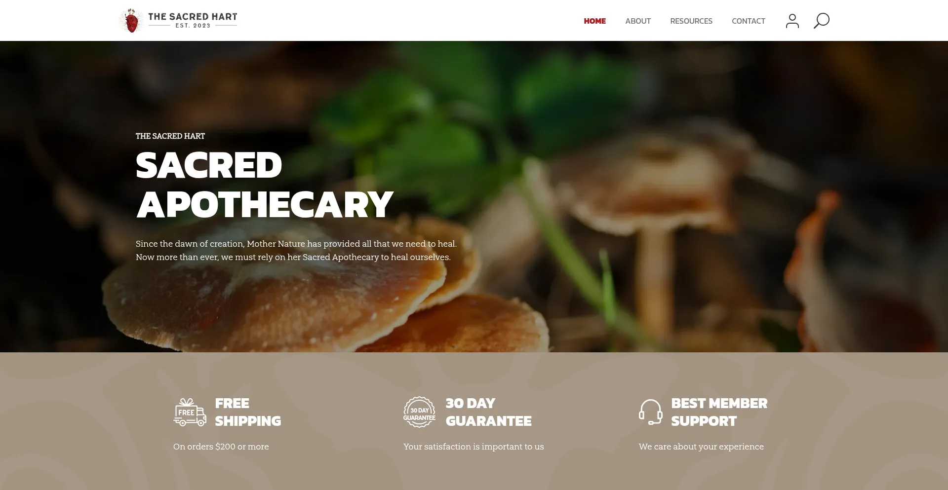 Website screenshot of Thesacredhart.com