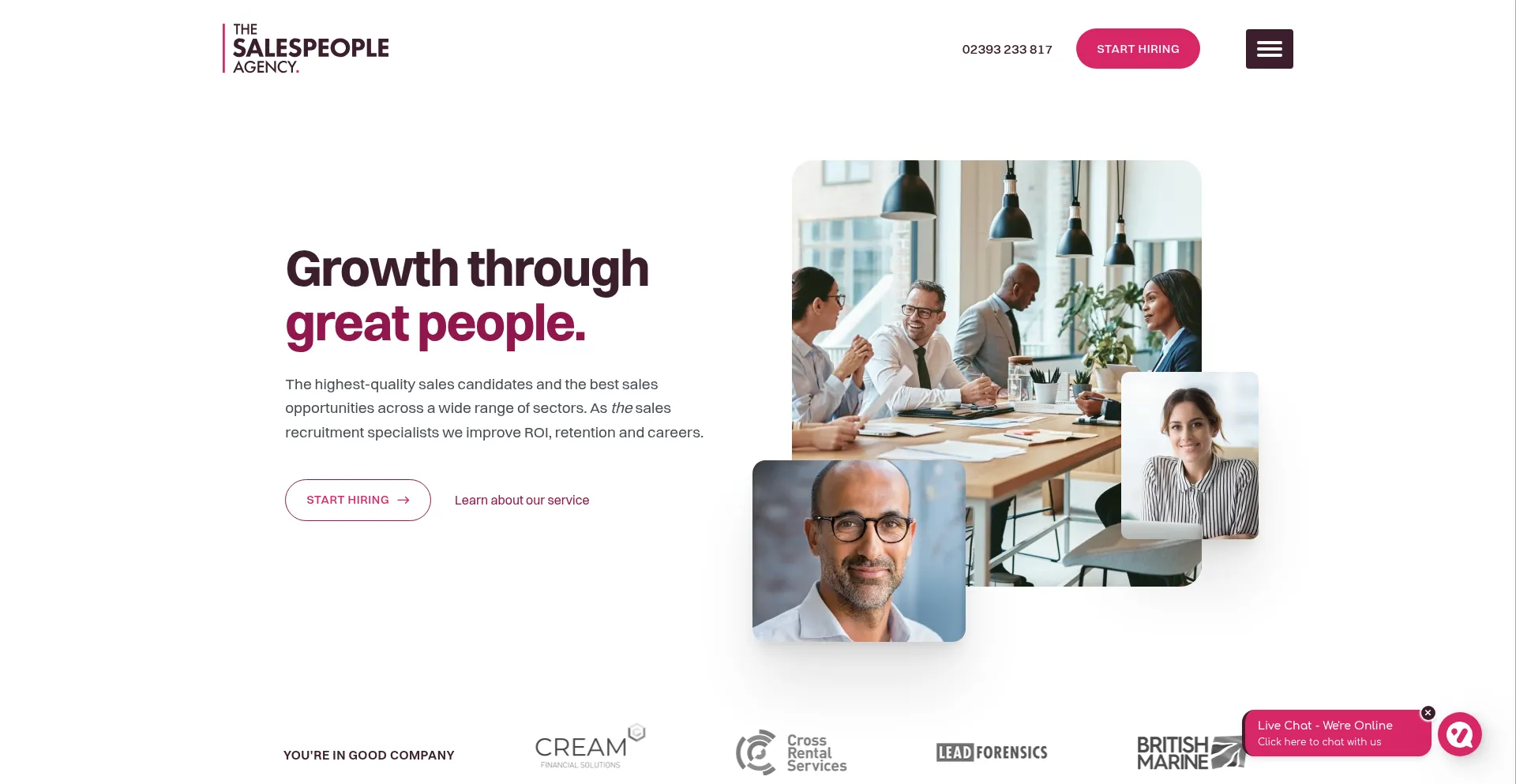 Website screenshot of Thesalespeopleagency.co.uk