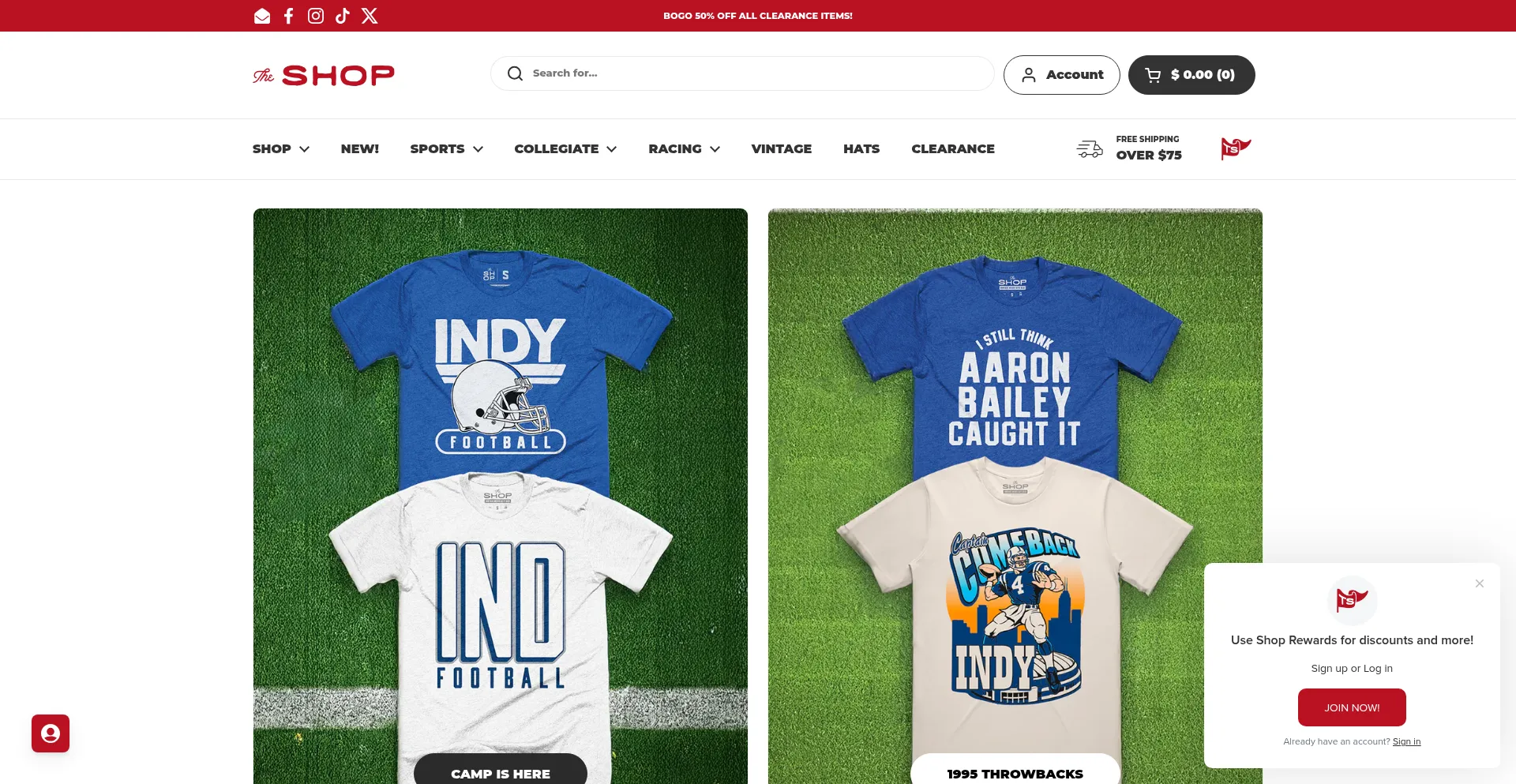 Website screenshot of Theshopindy.com