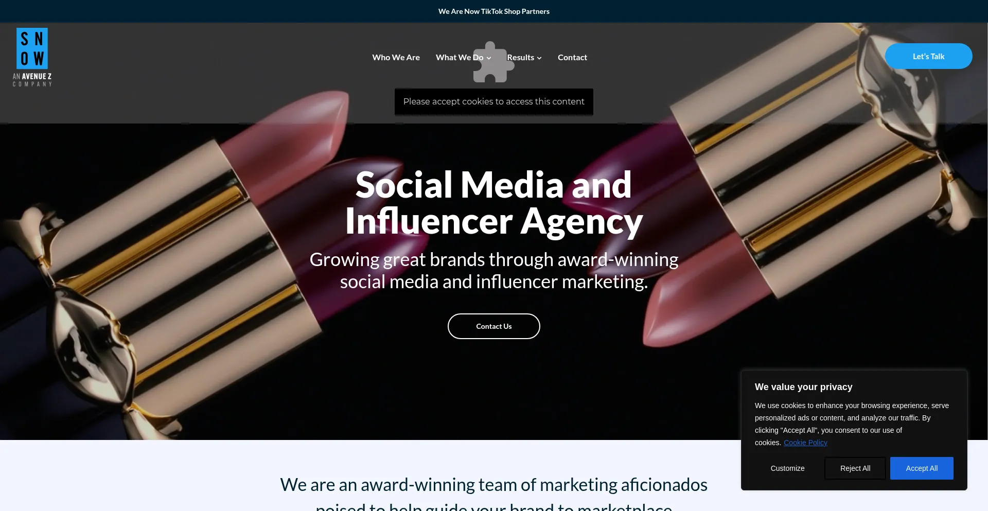 Thesnowagency.com