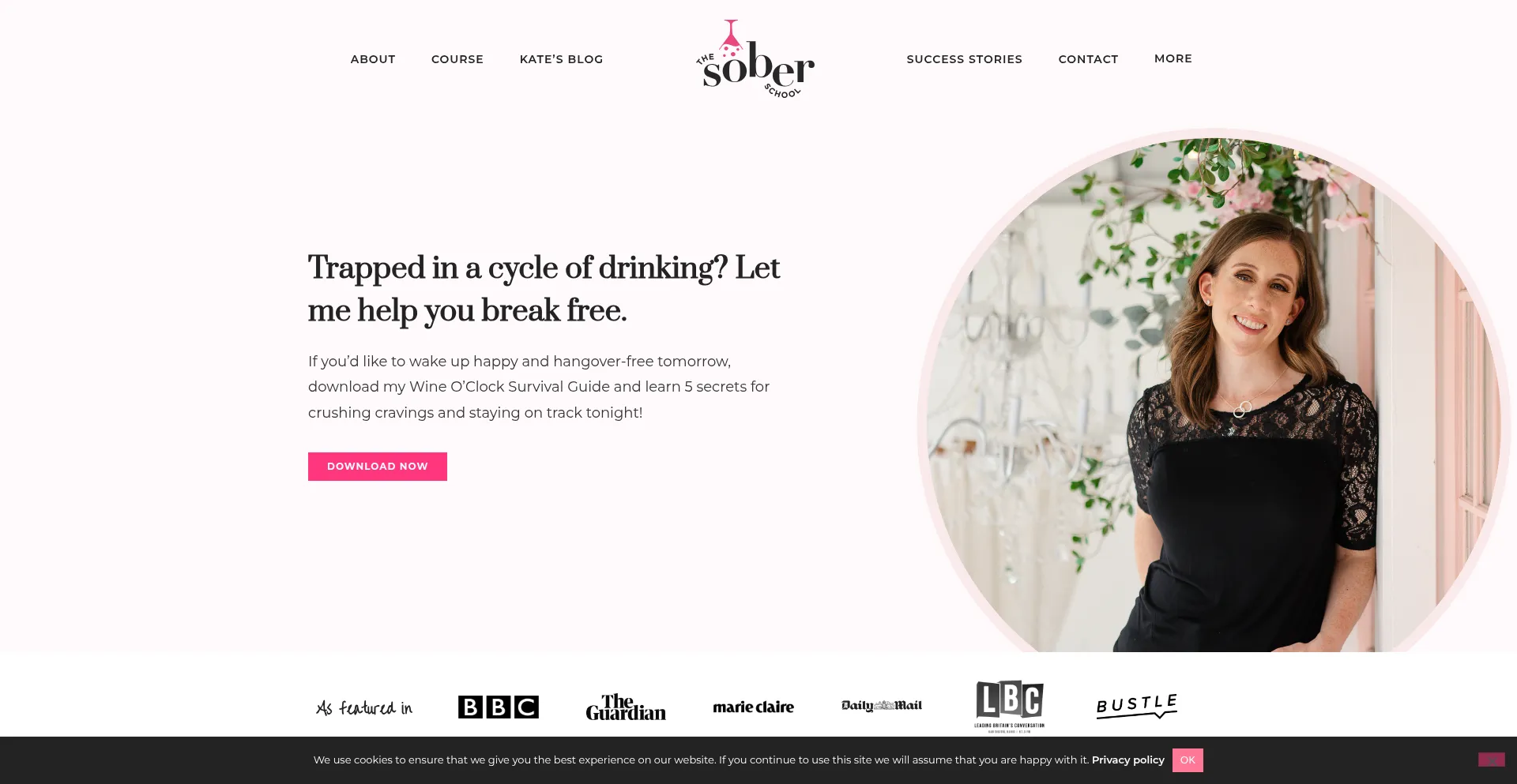 Thesoberschool.com