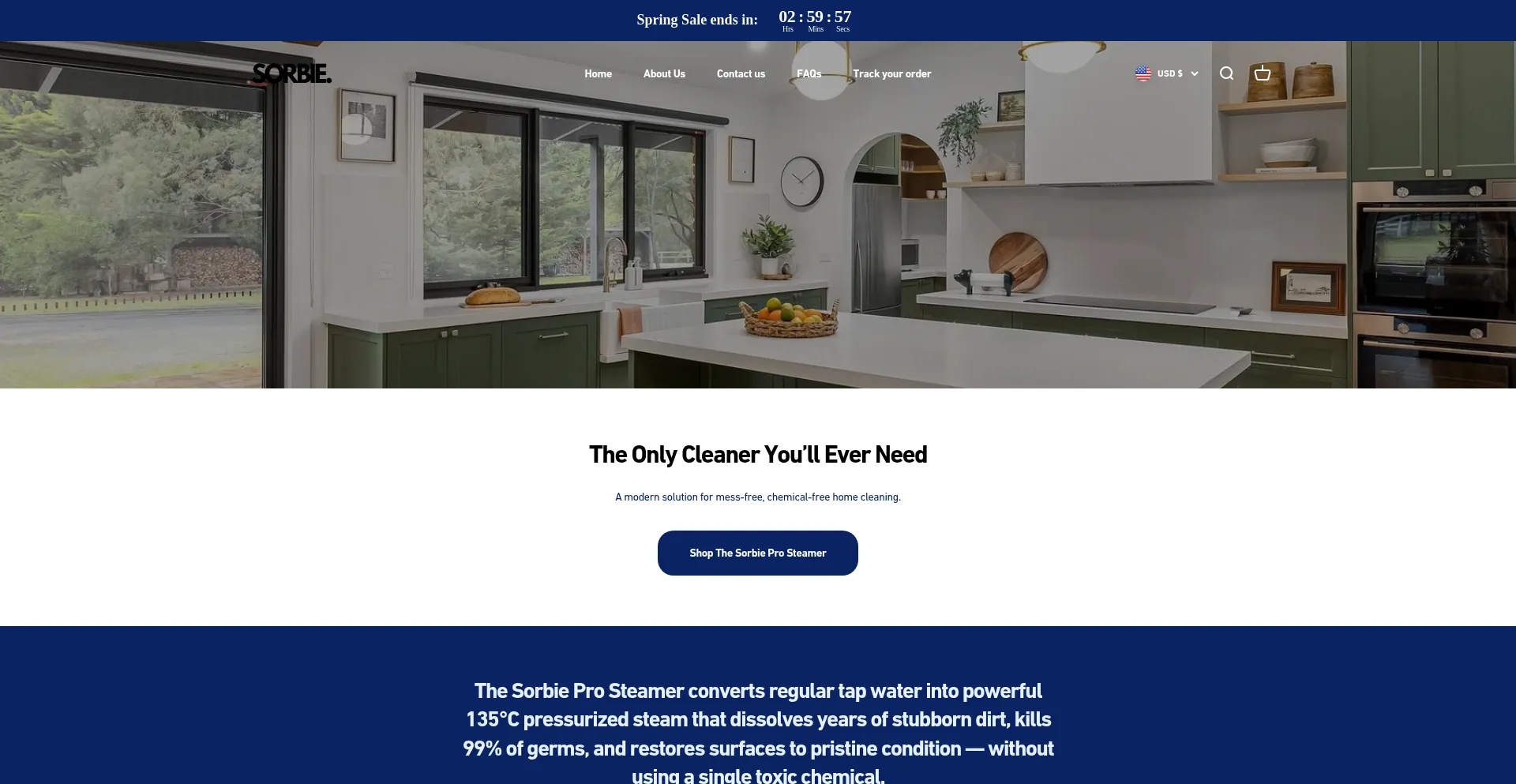 Website screenshot of Thesorbie.com