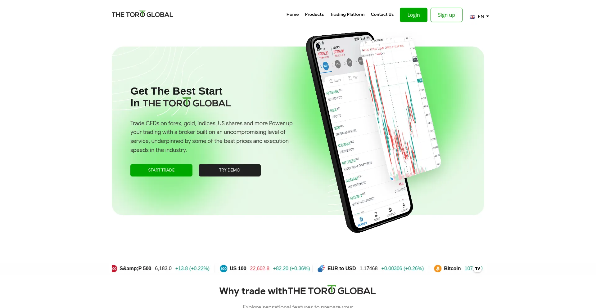 Website screenshot of Thetoro-global.com