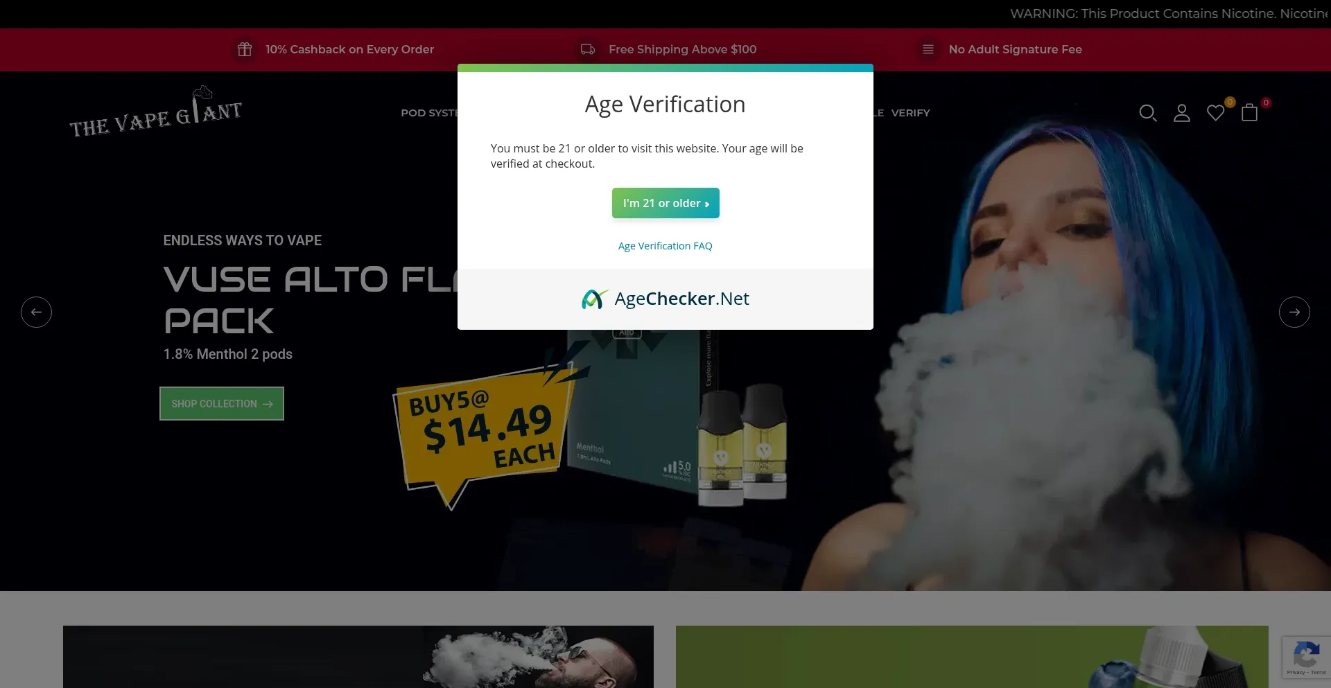 Website screenshot of Thevapegiant.com