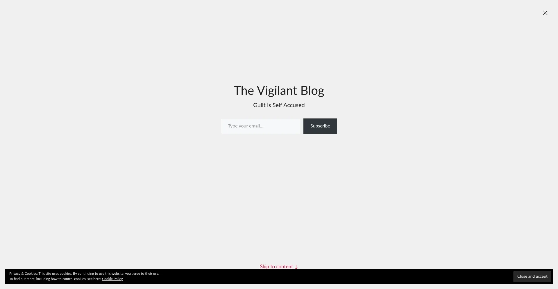 Thevigilant.blog