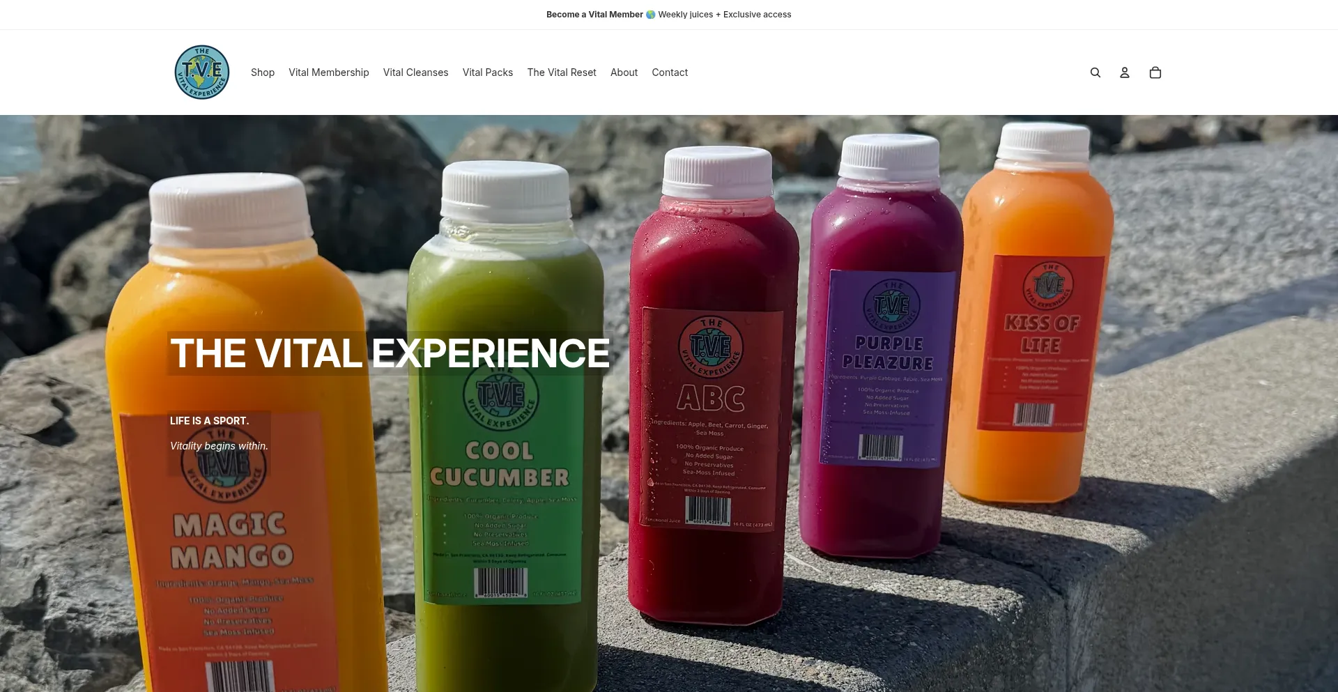 Thevitalexperience.org