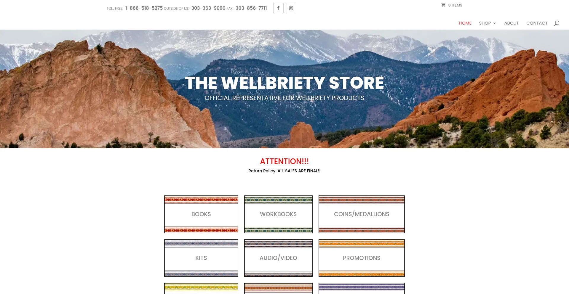 Website screenshot of Thewellbrietystore.com