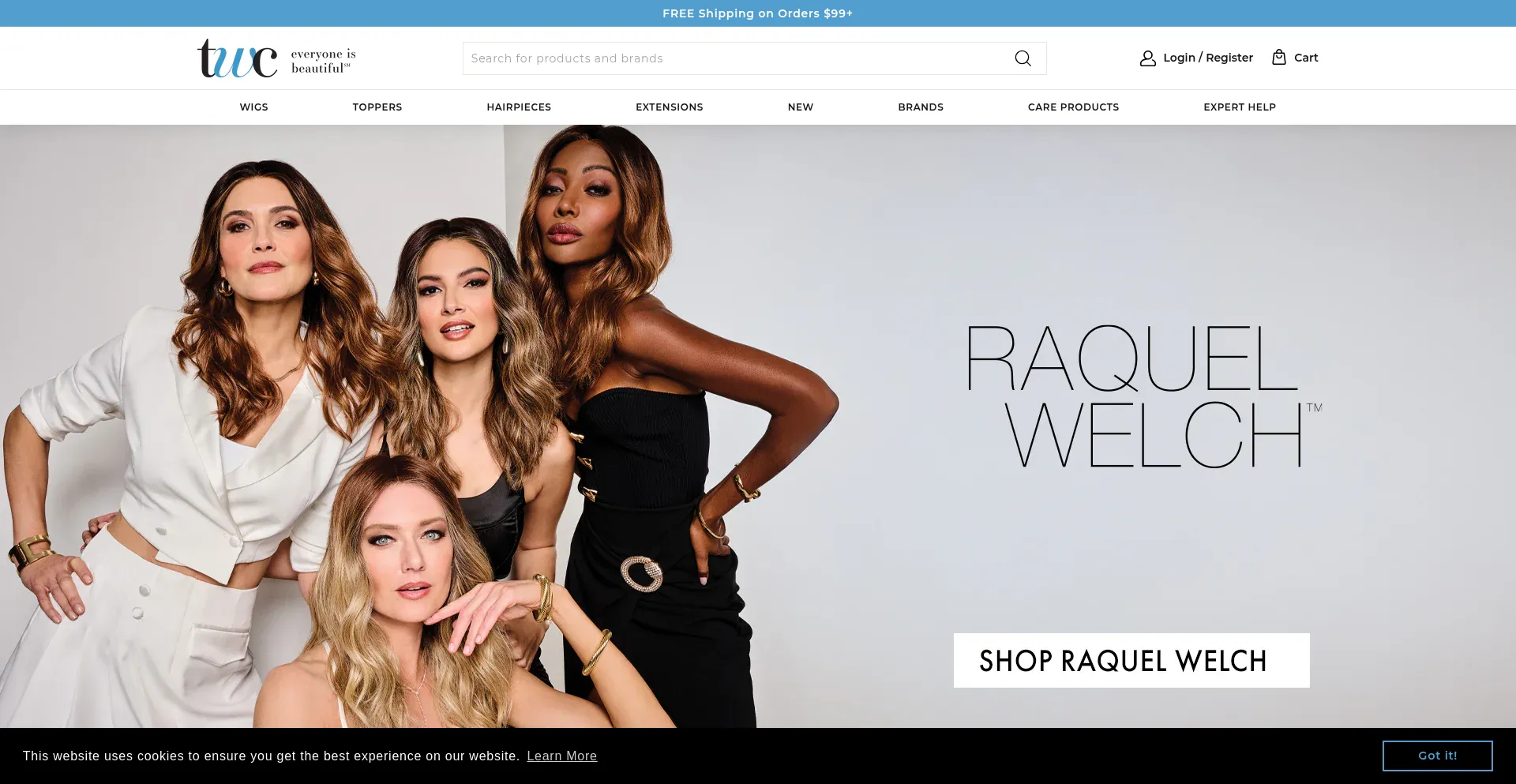 Website screenshot of Thewigcompany.com
