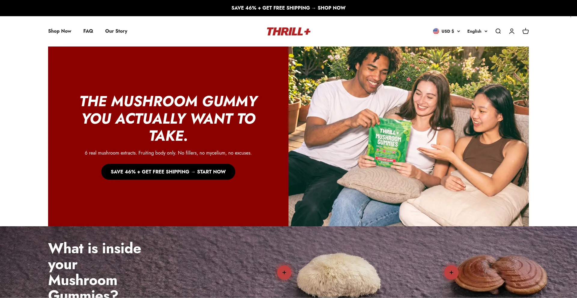 Thrill-plus.com