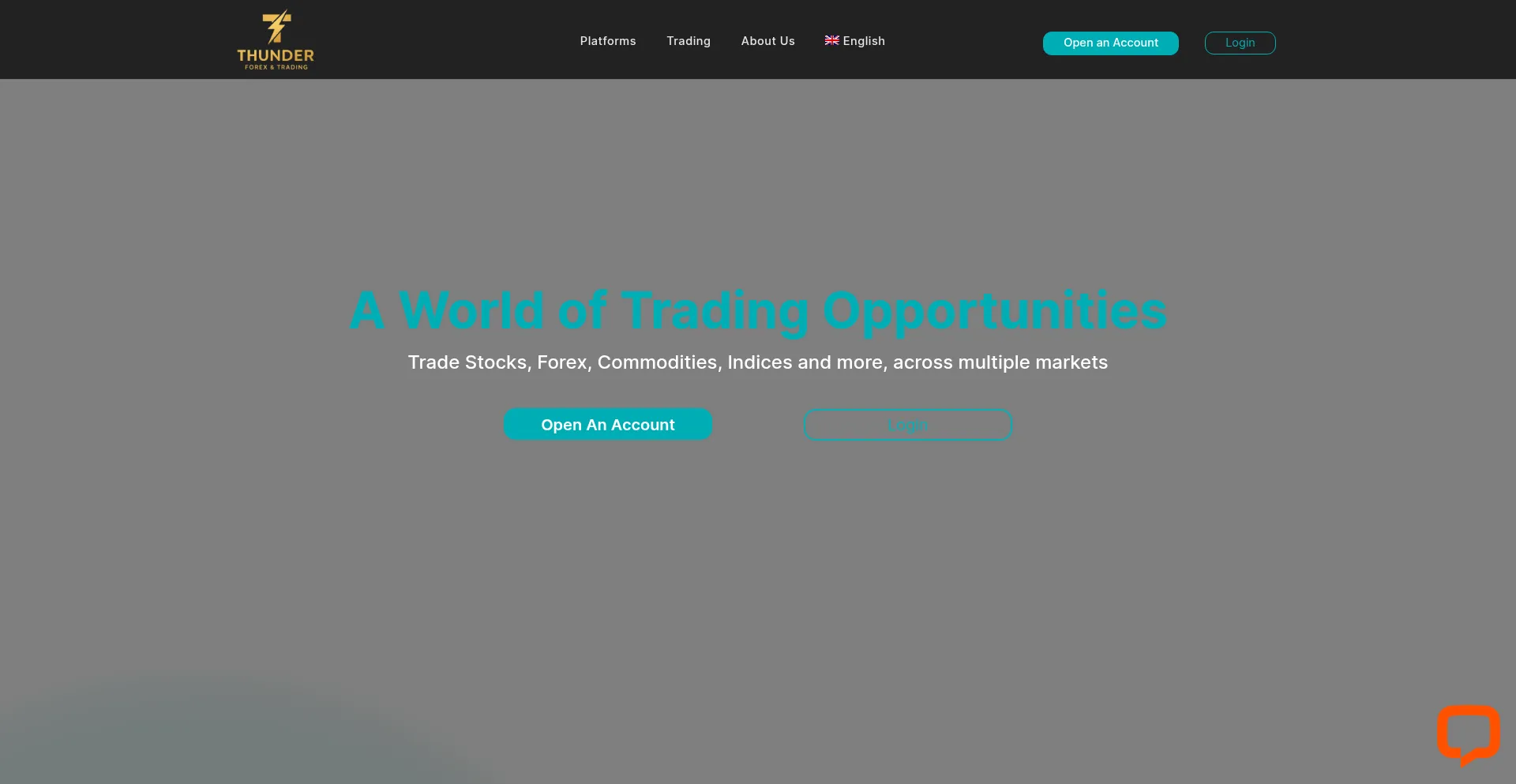 Website screenshot of Thunderfxus.com