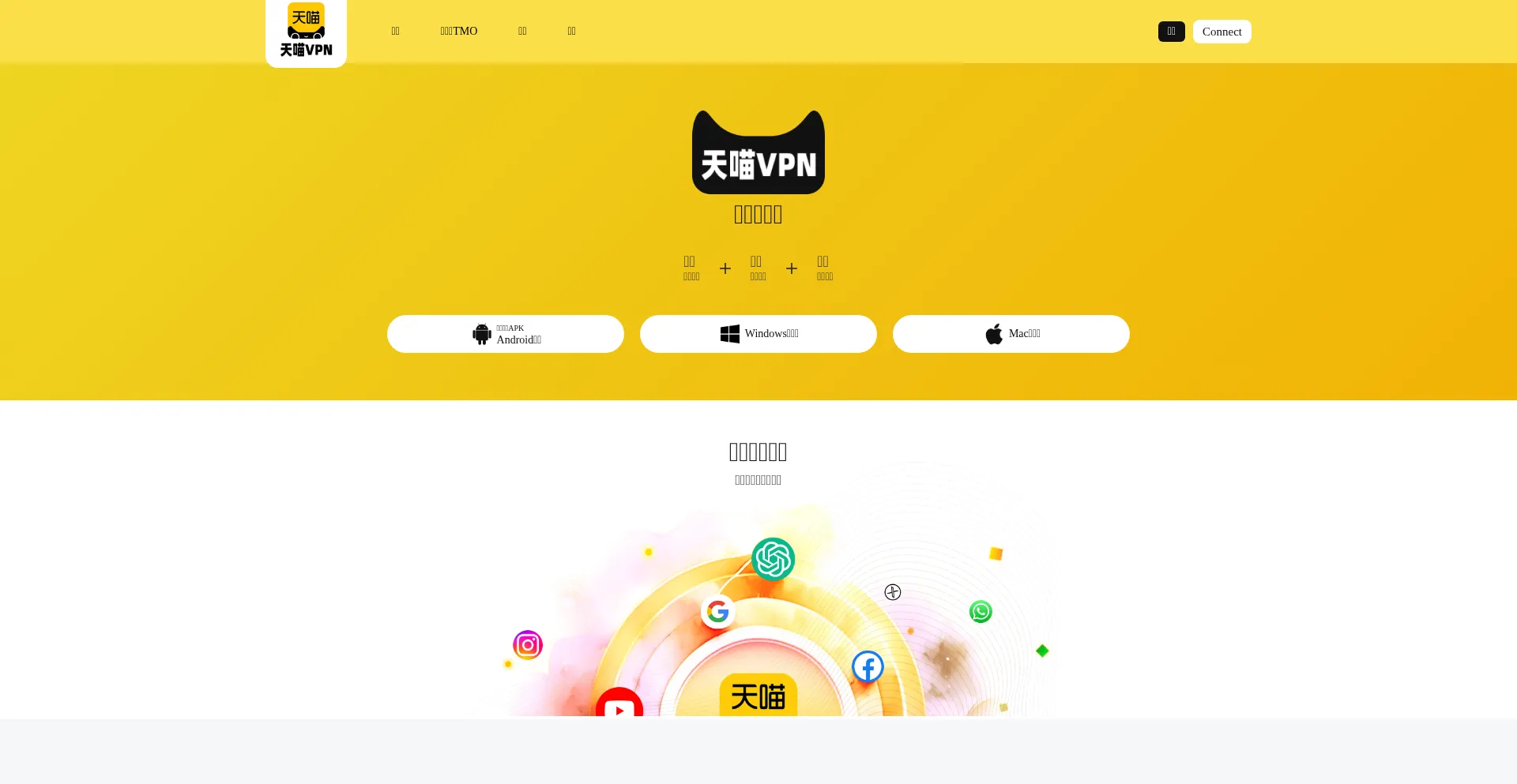 Website screenshot of Tianmiaovpn.com