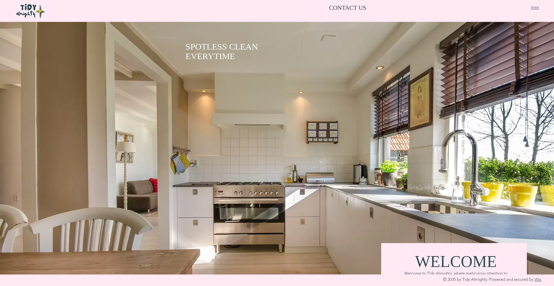 Website screenshot of Tidy-almighty.com