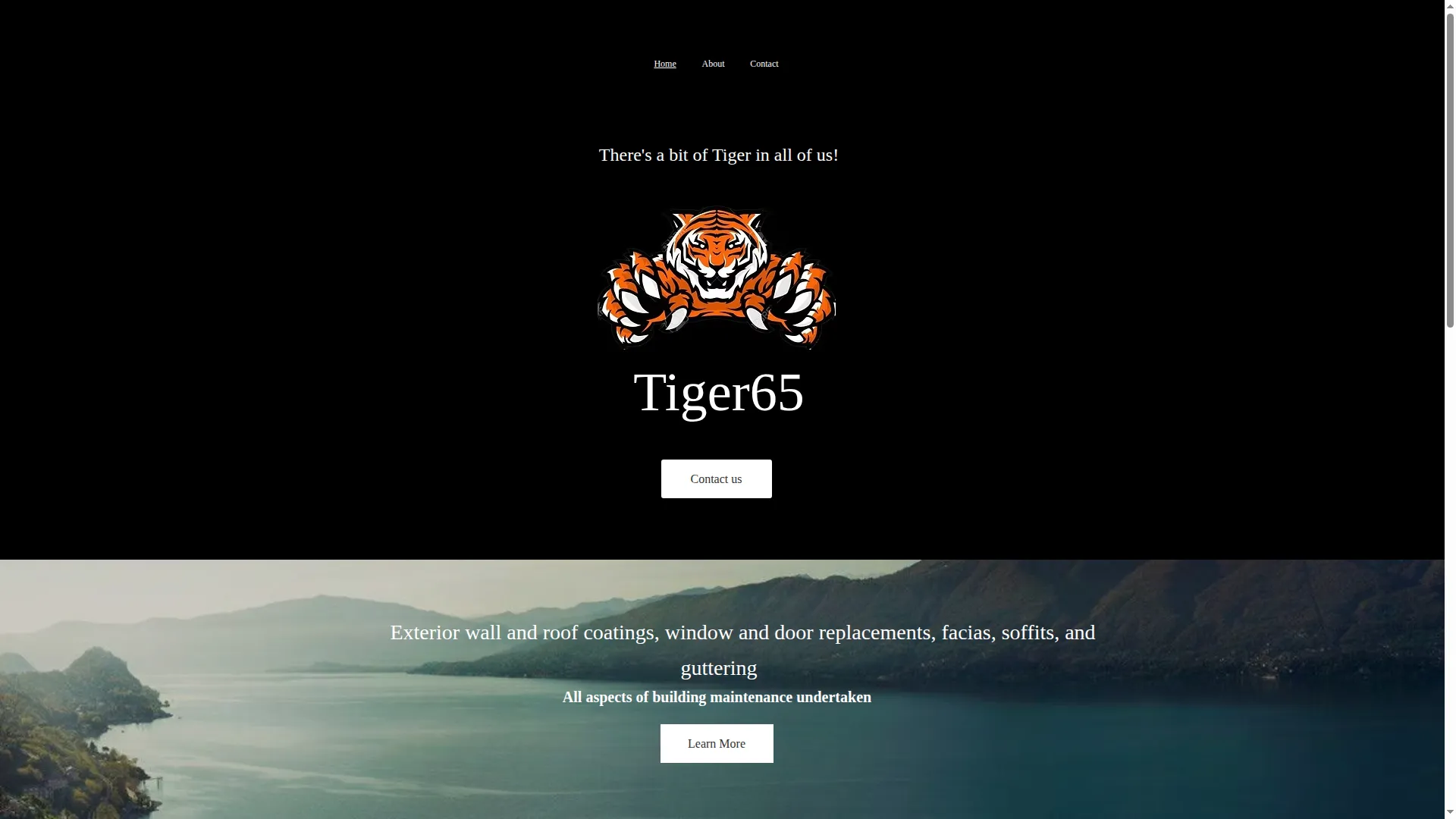 Tiger65.co.uk