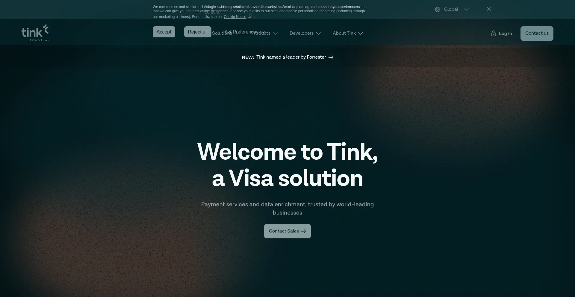 Website screenshot of Tink.com