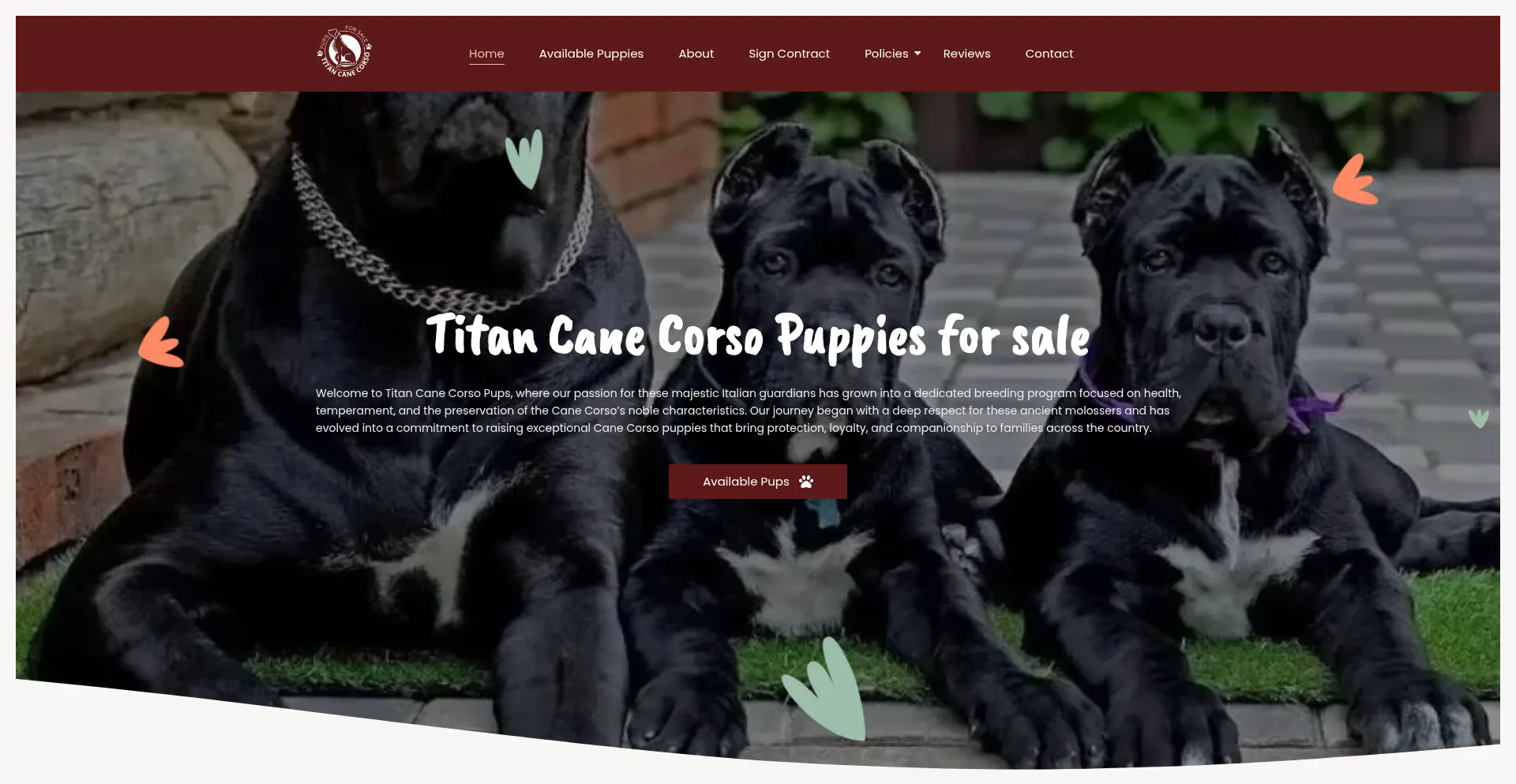 Titancanecorsopuppiesforsale.com