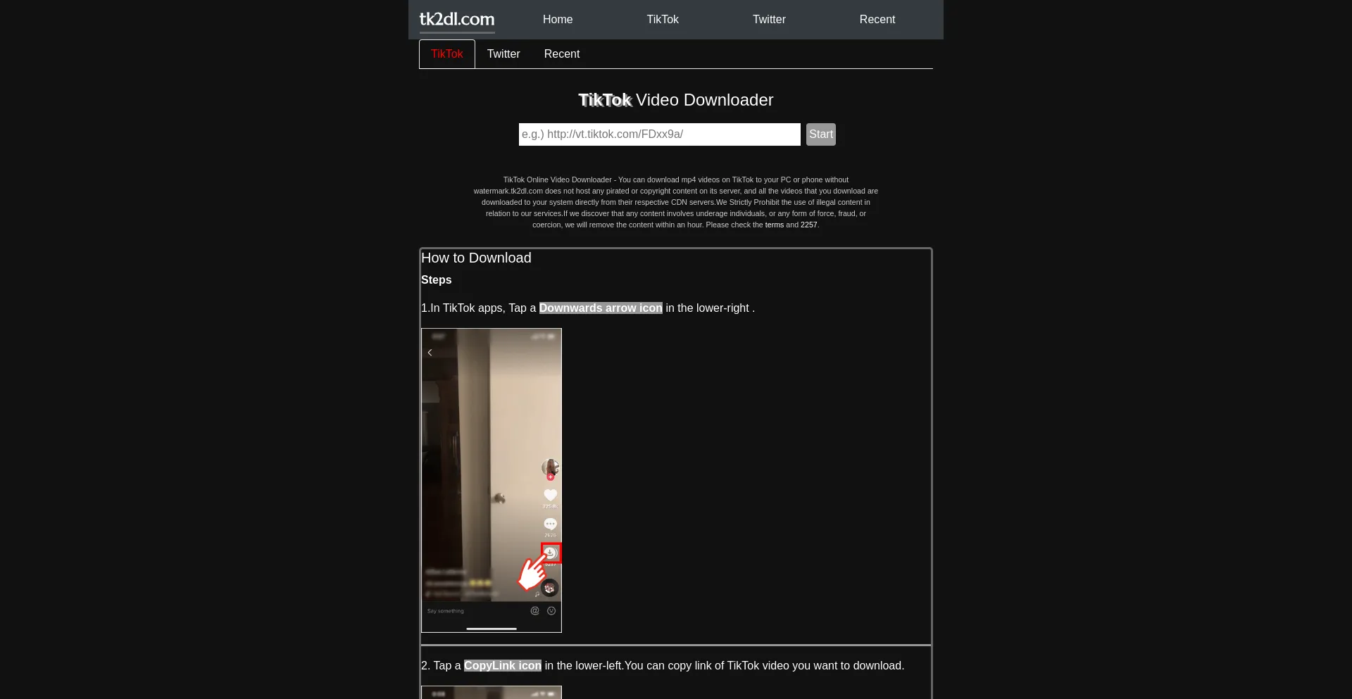 Website screenshot of Tk2dl.com