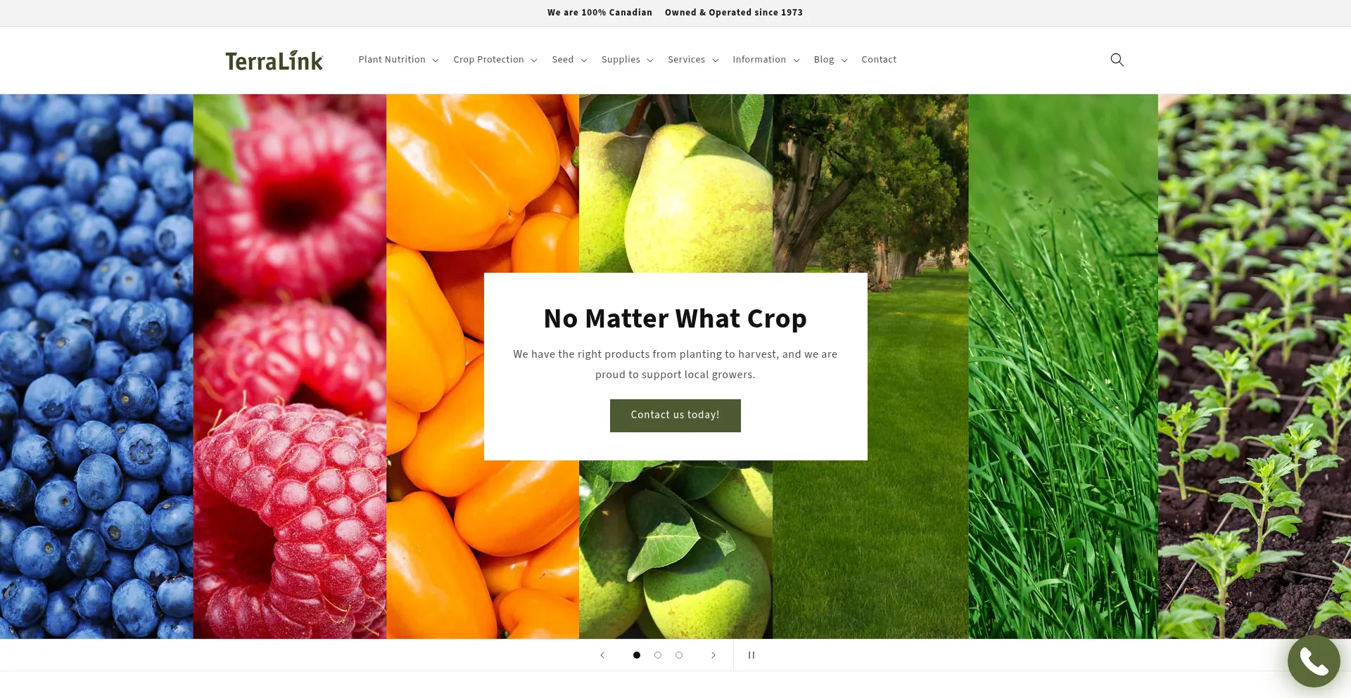 Website screenshot of Tlhort.com