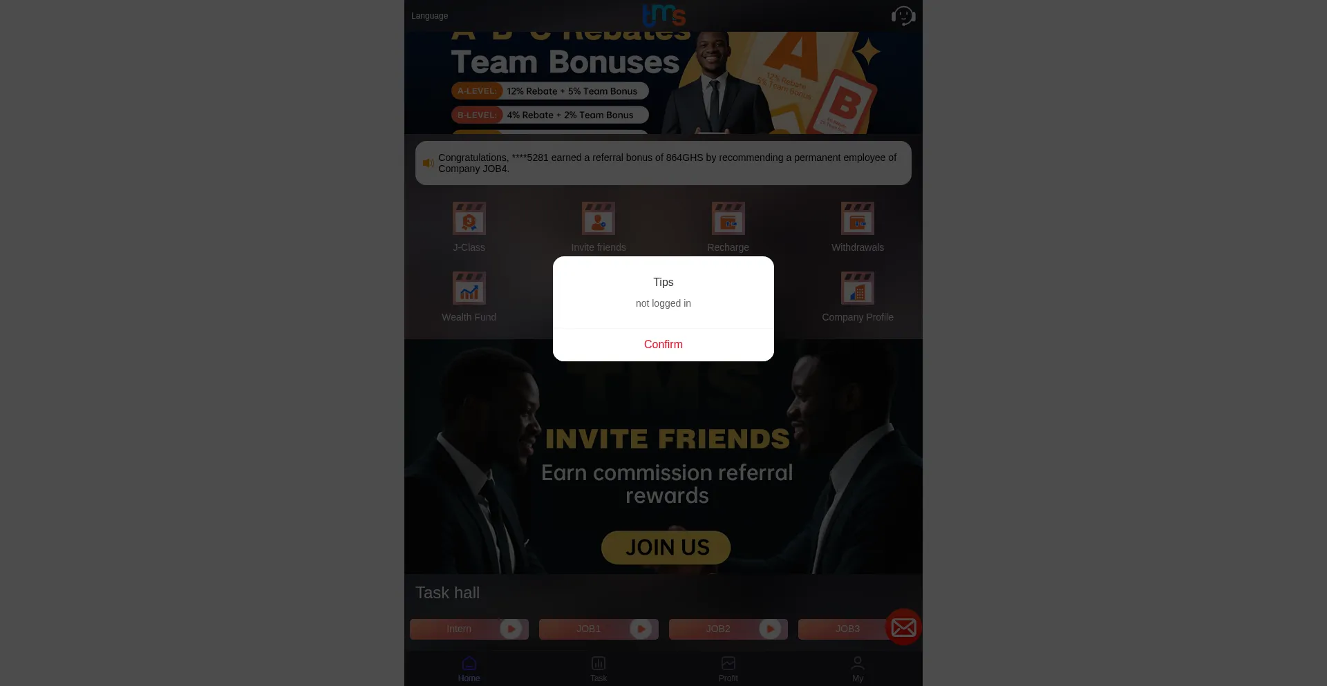Website screenshot of Tmsgh.com