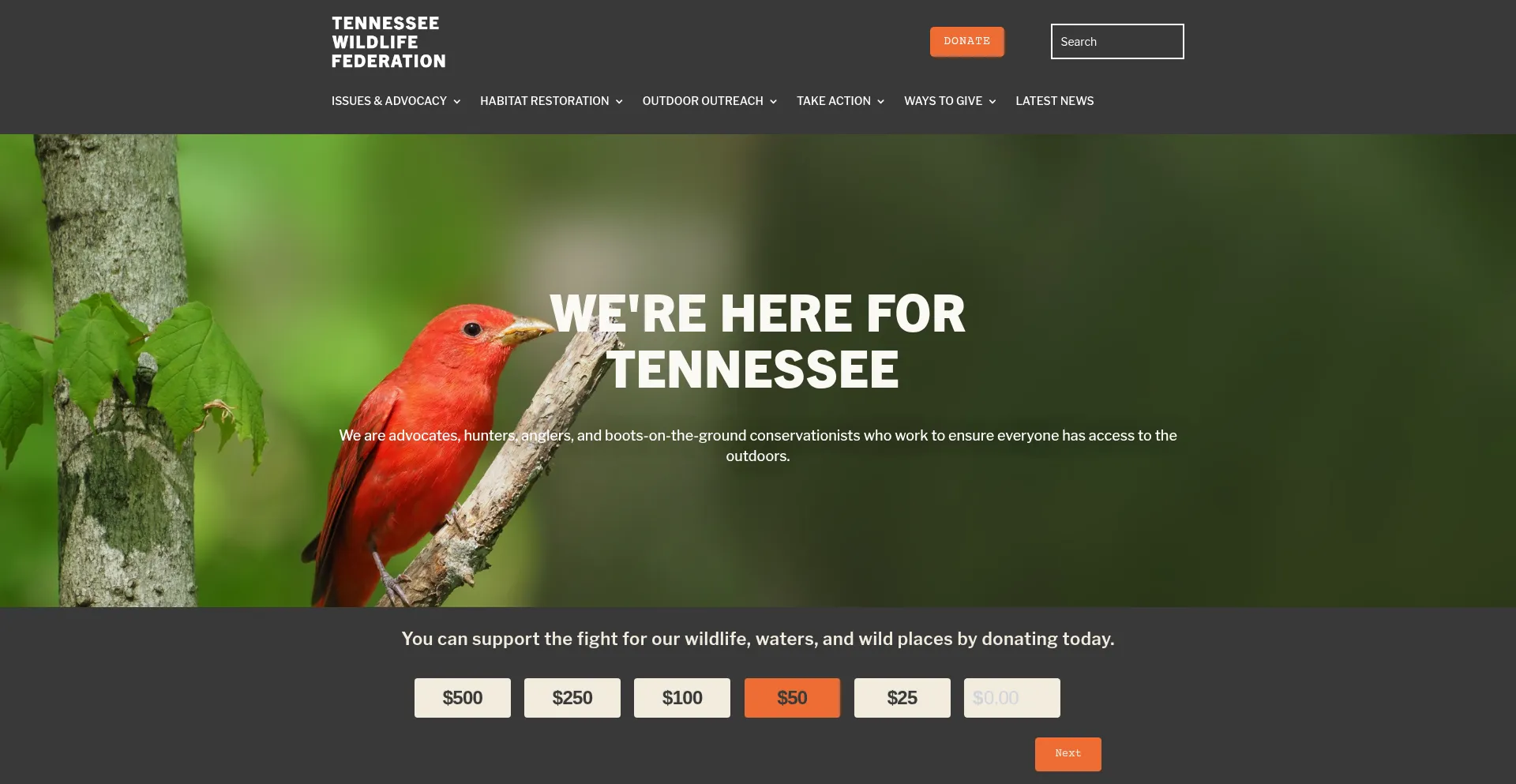 Website screenshot of Tnwf.org