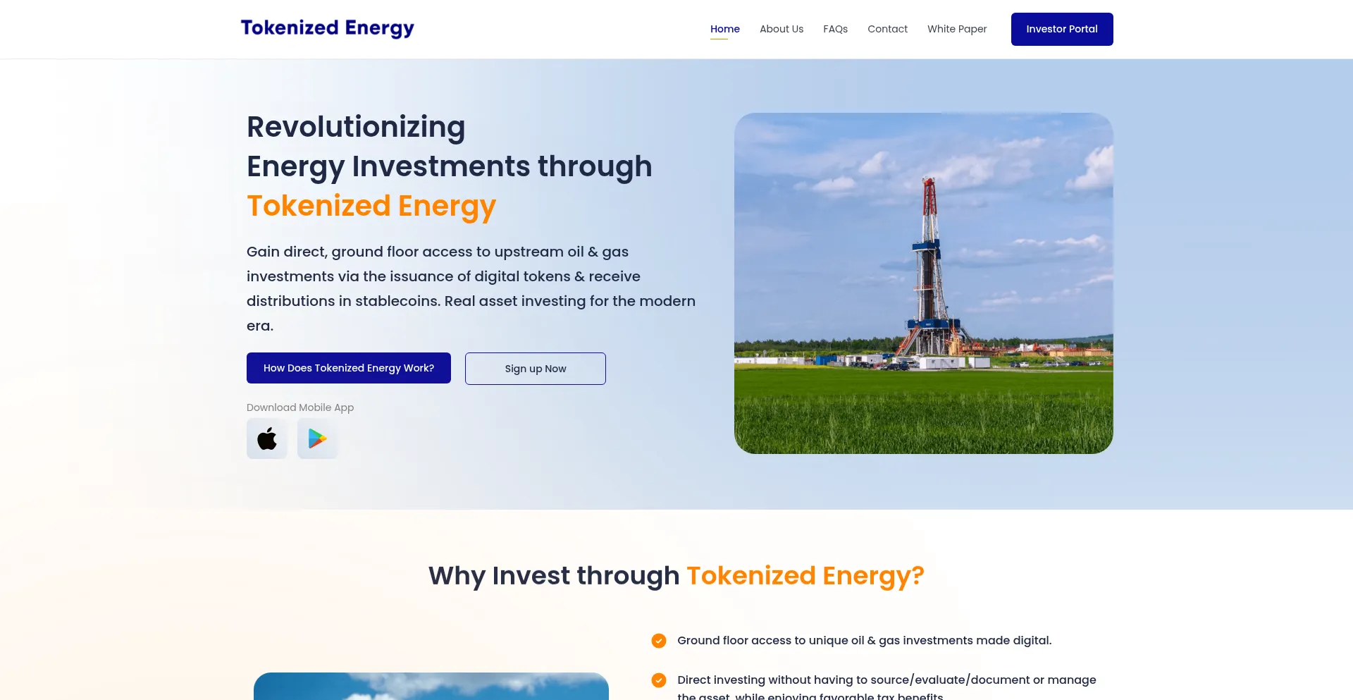 Website screenshot of Tokenizedenergy.com