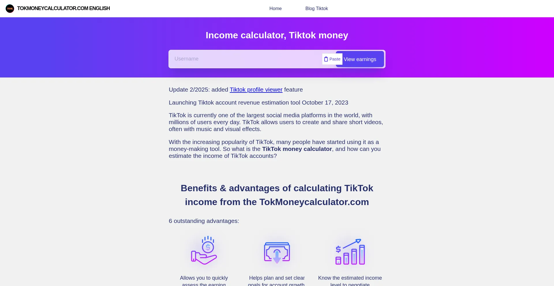 Website screenshot of Tokmoneycalculator.com