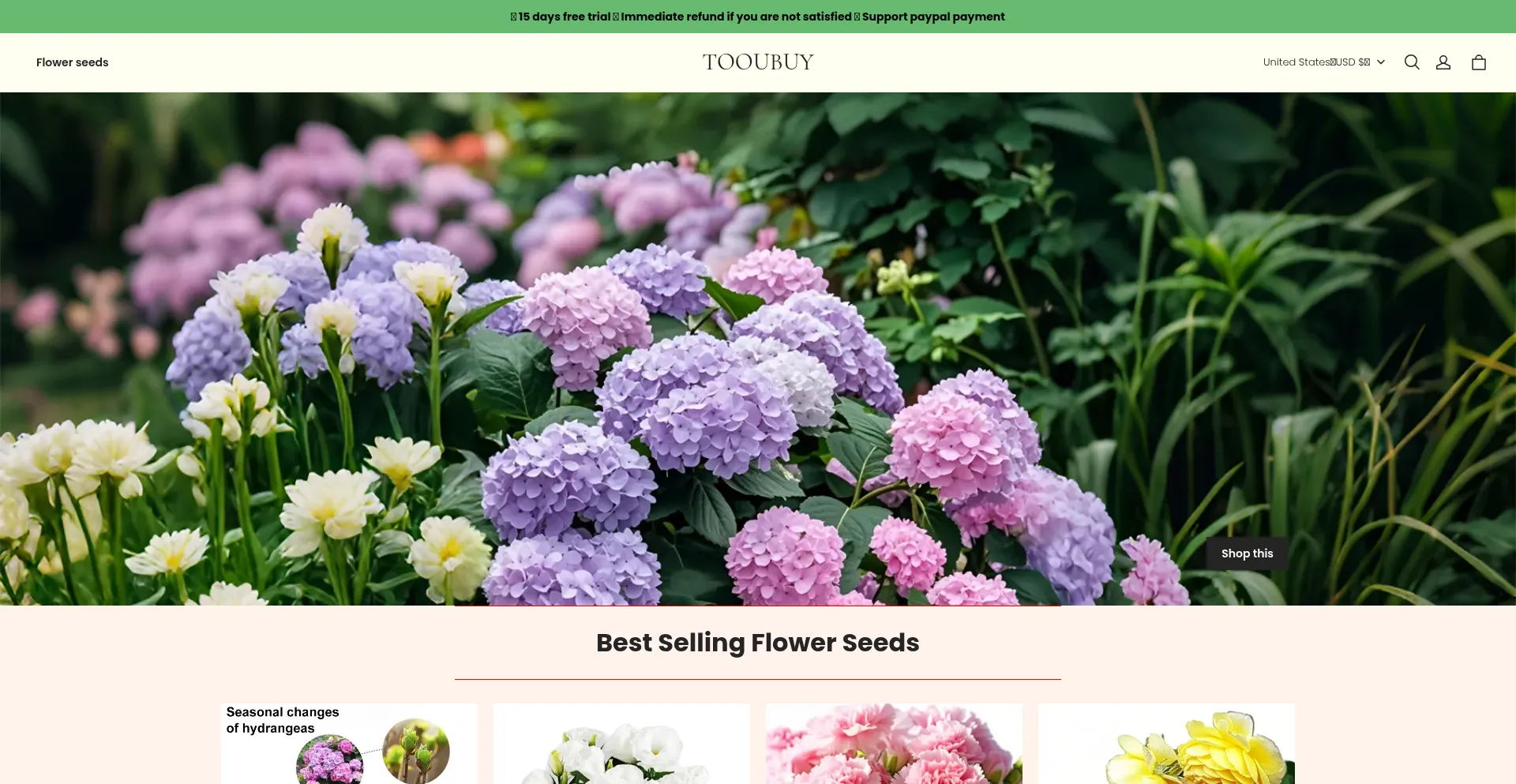 Website screenshot of Tooubuy.com