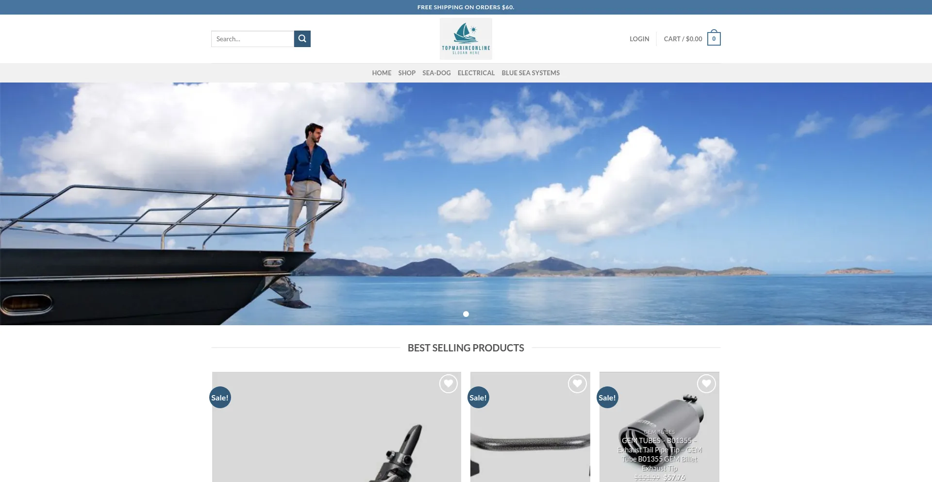 Website screenshot of Topmarineonline.com