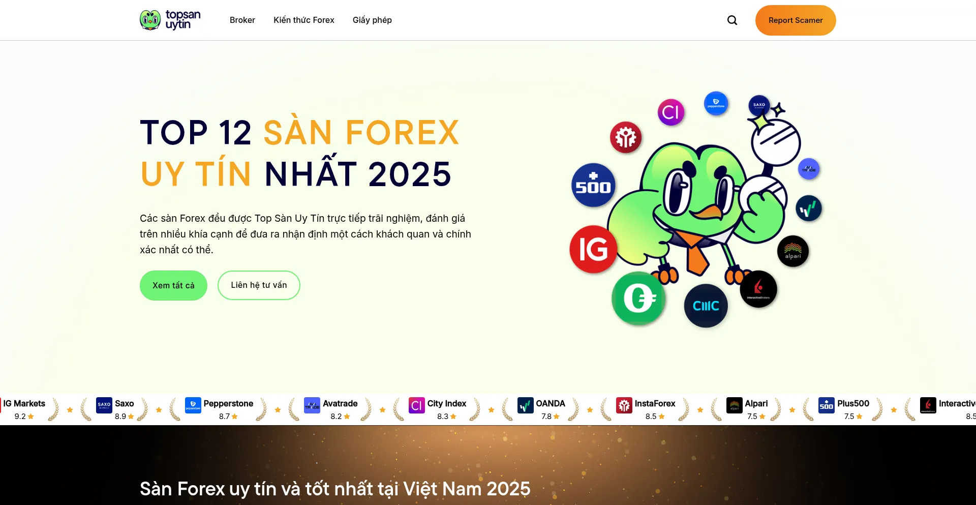 Website screenshot of Topsanuytin.com