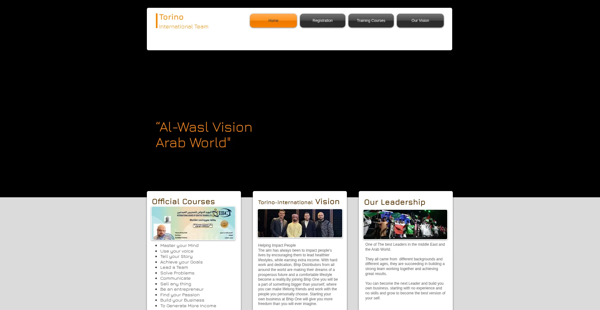 Website screenshot of Torino-international.com