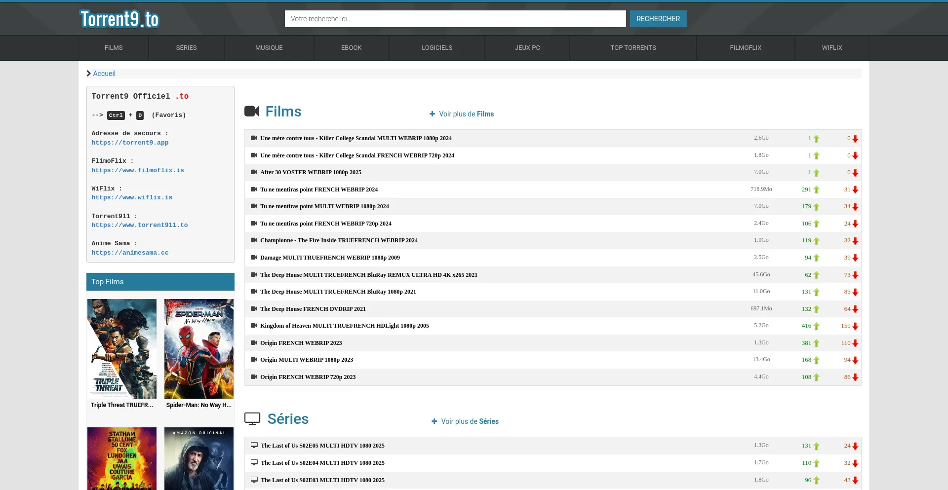 Website screenshot of Torrent9.to