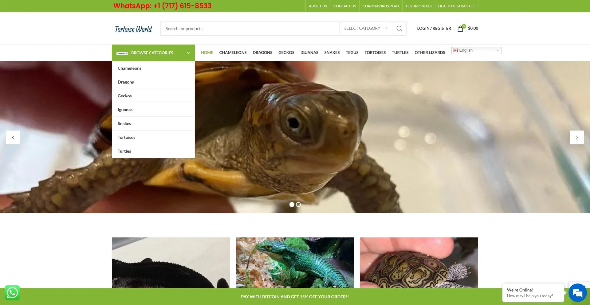 Tortoisesworld.com