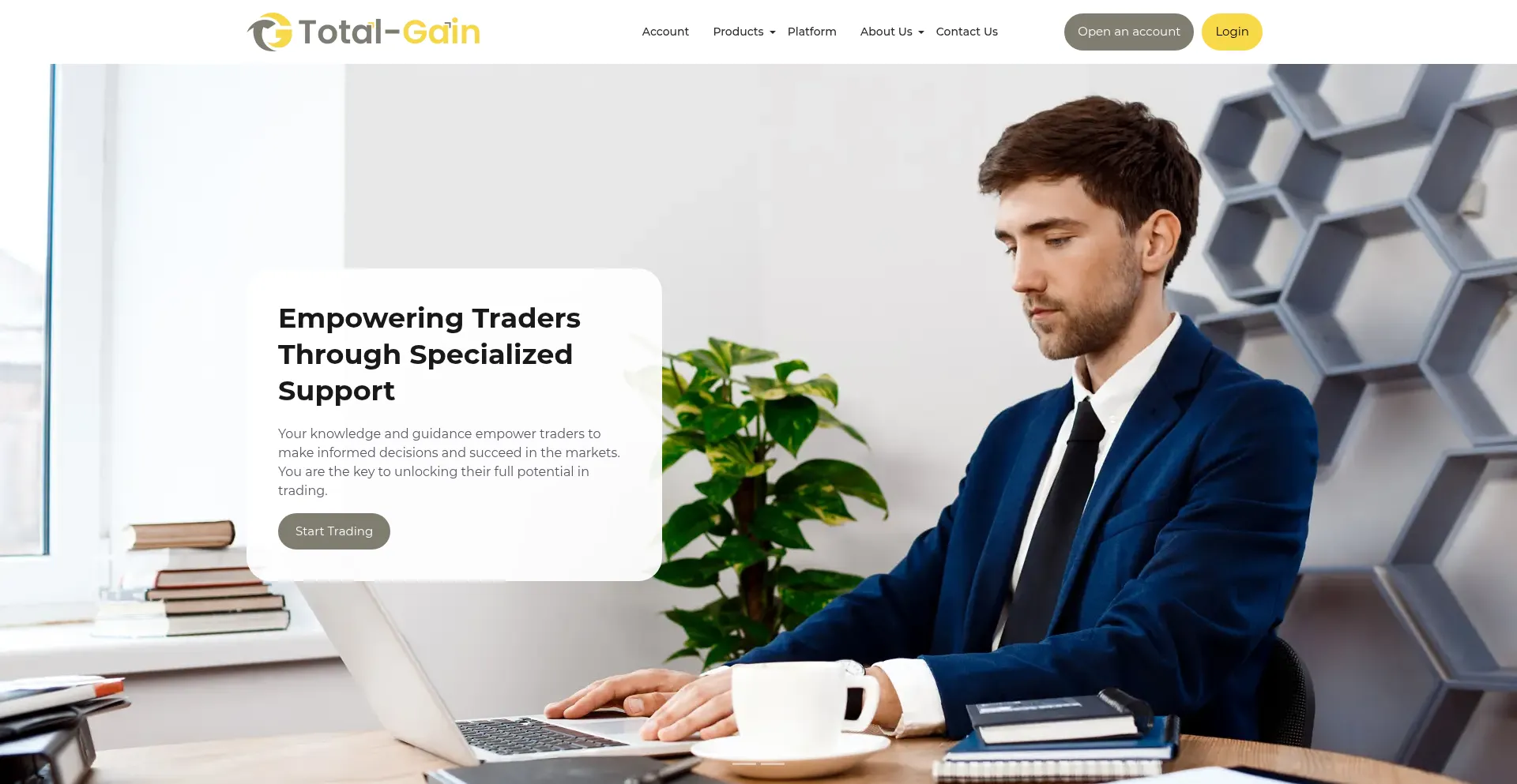 Website screenshot of Total-gain.com