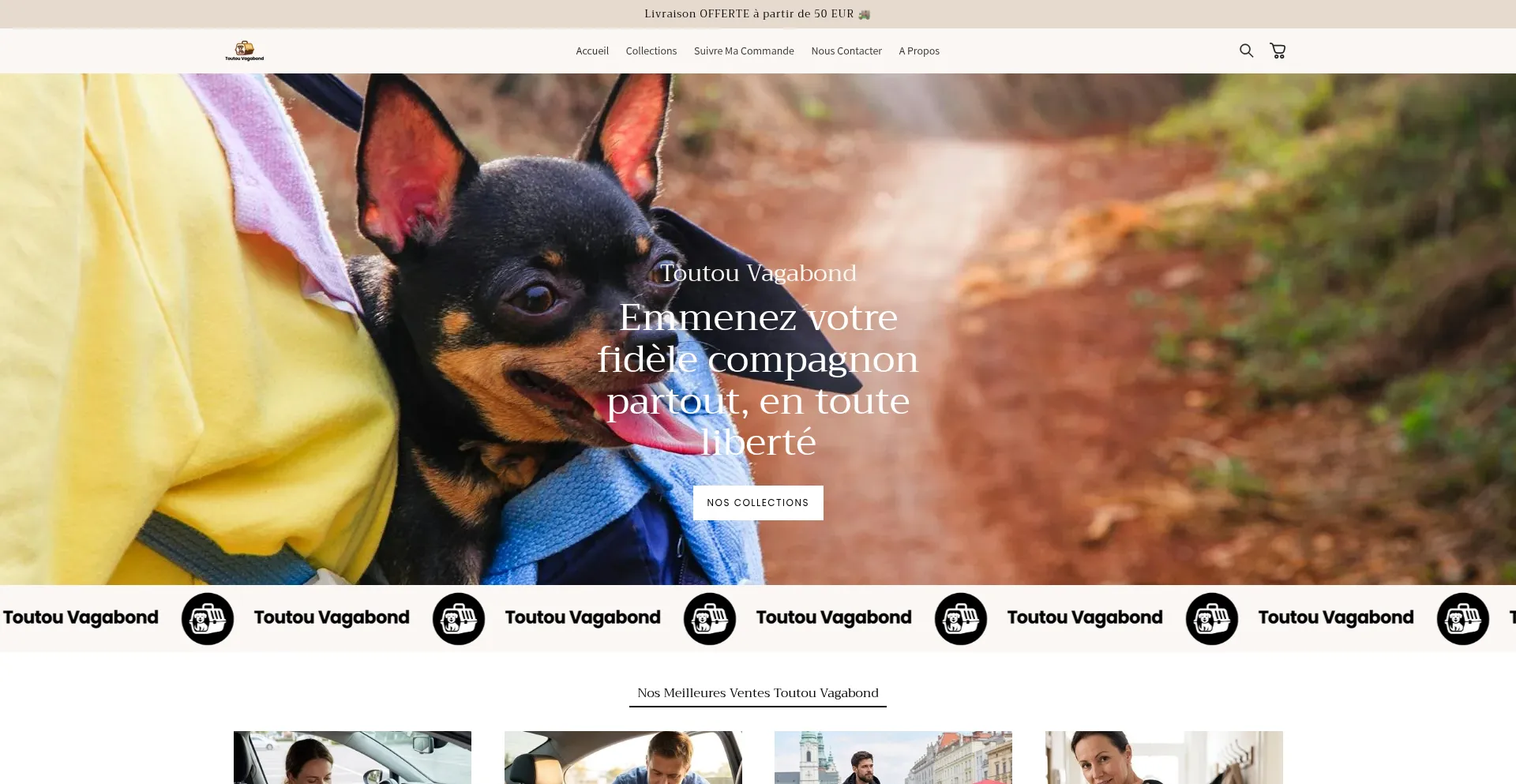 Toutouvagabond.com