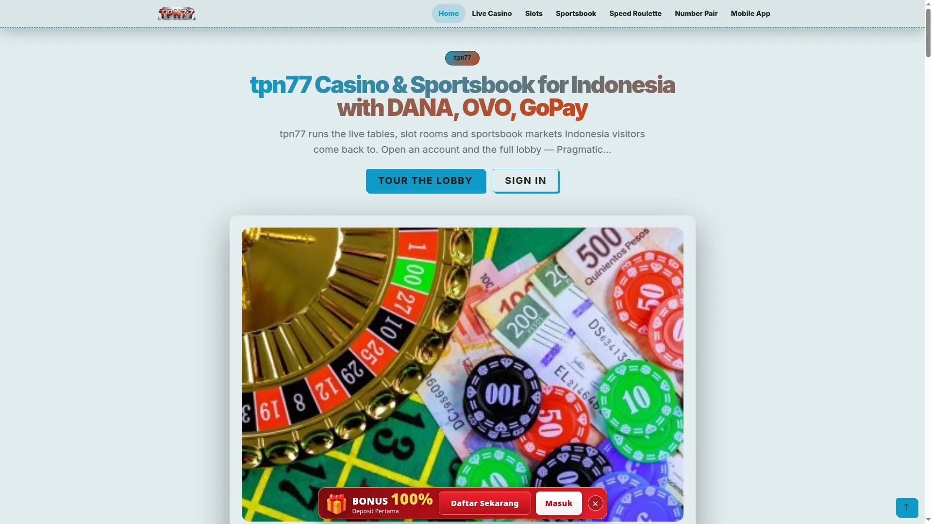 Tpn77.com