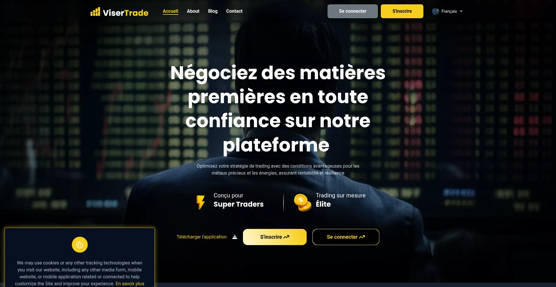 Website screenshot of Trademetals.org