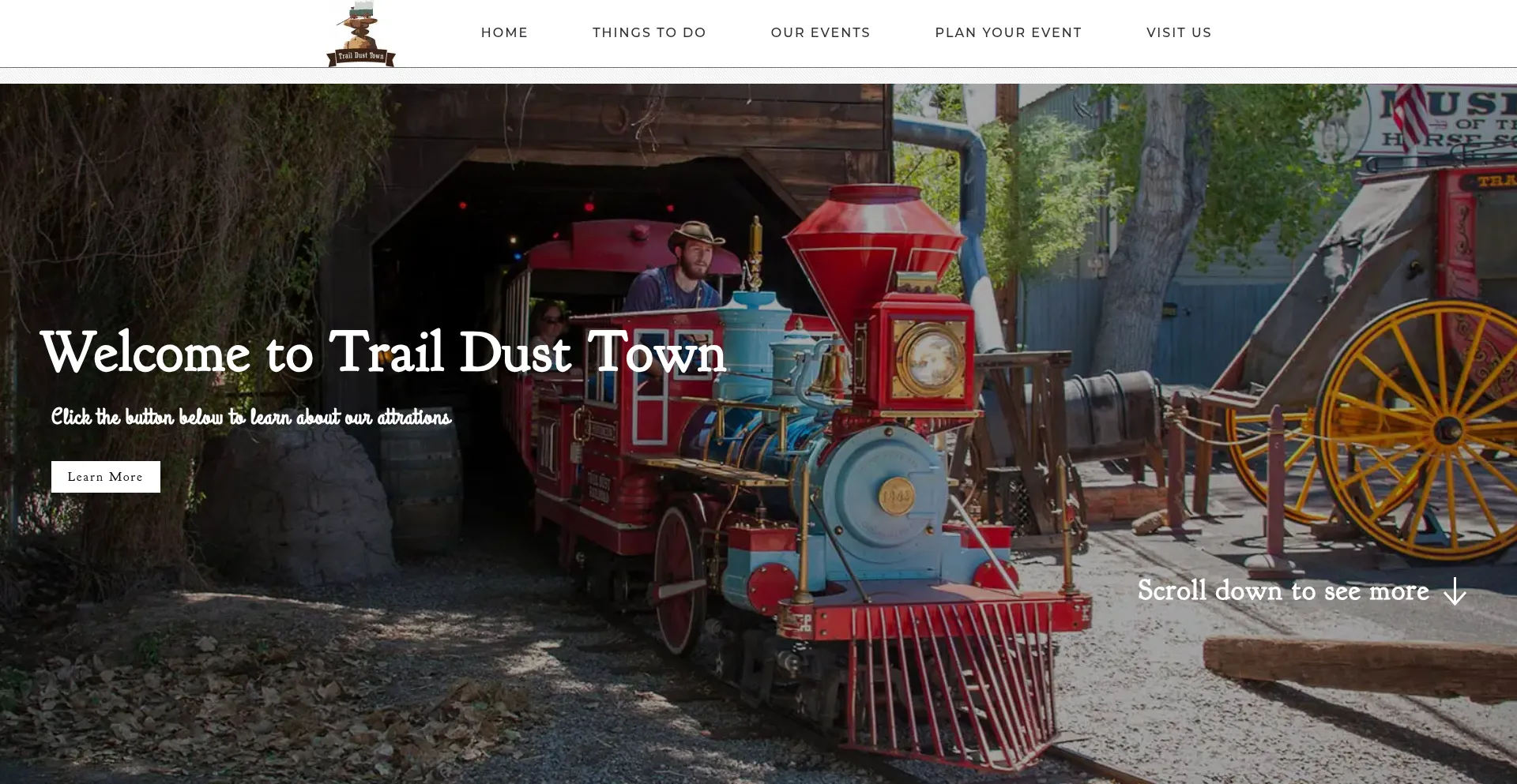 Website screenshot of Traildusttown.com