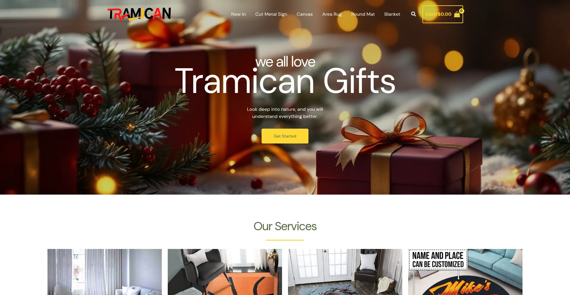 Website screenshot of Tramican.com