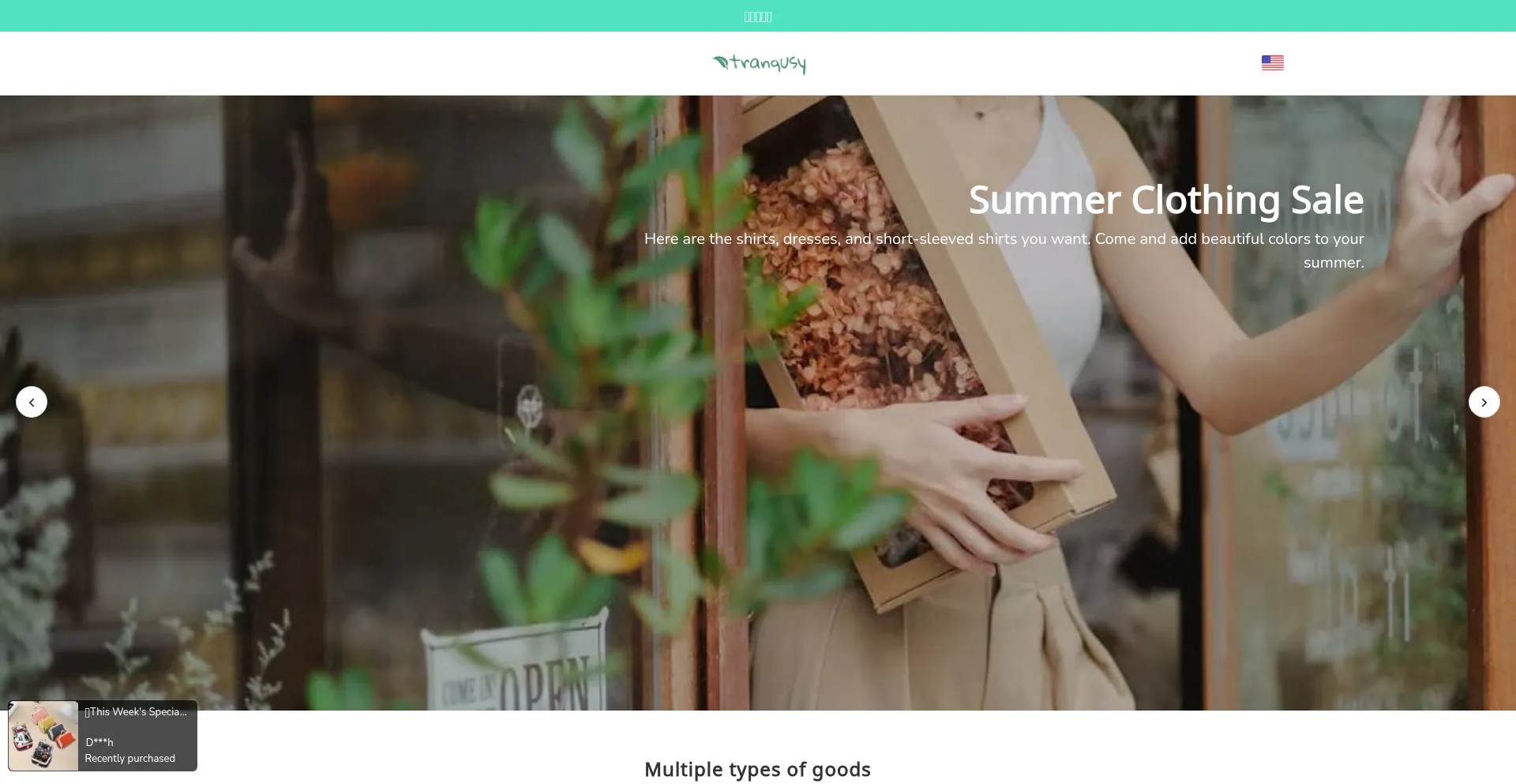 Website screenshot of Tranqusy.com