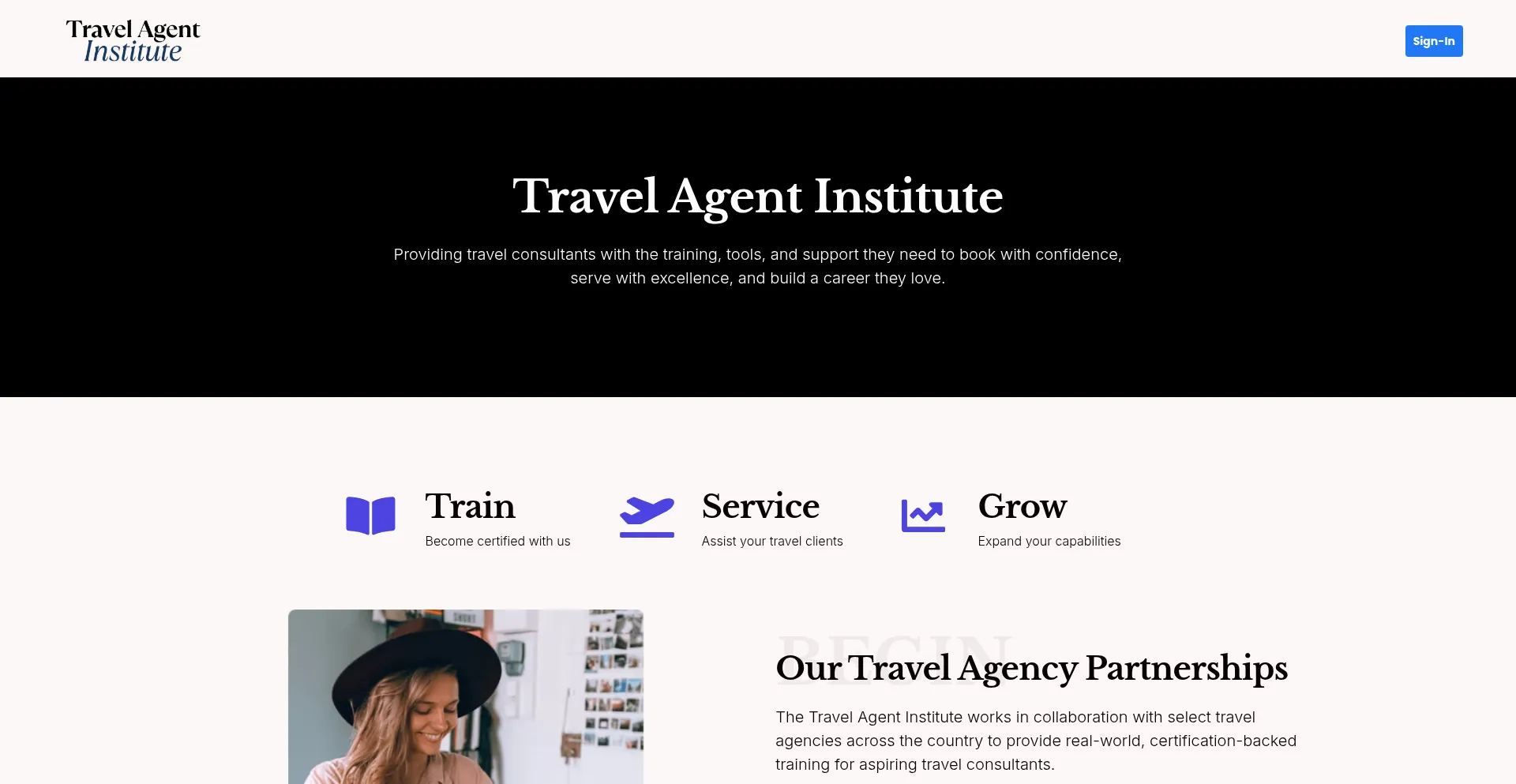 Website screenshot of Travelagentinstitute.com