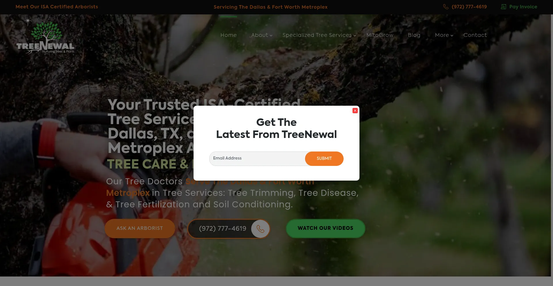 Treenewal.com
