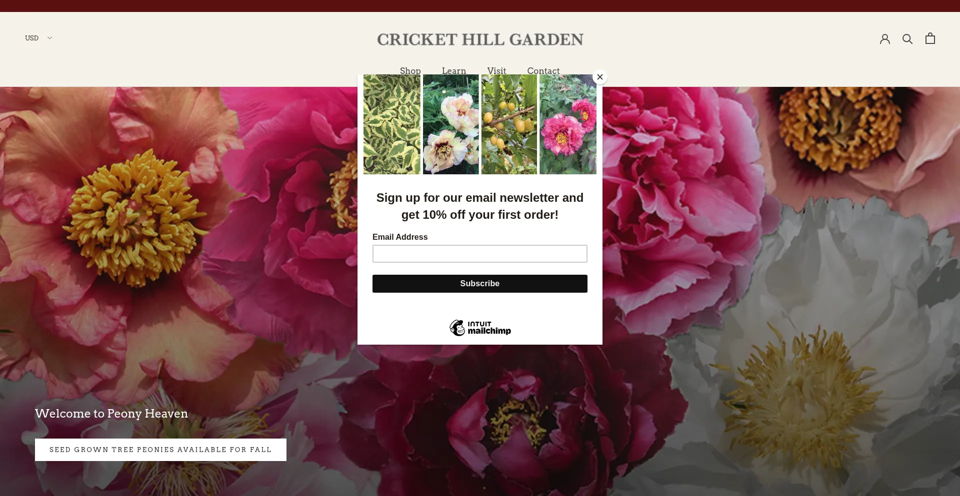 Website screenshot of Treepeony.com
