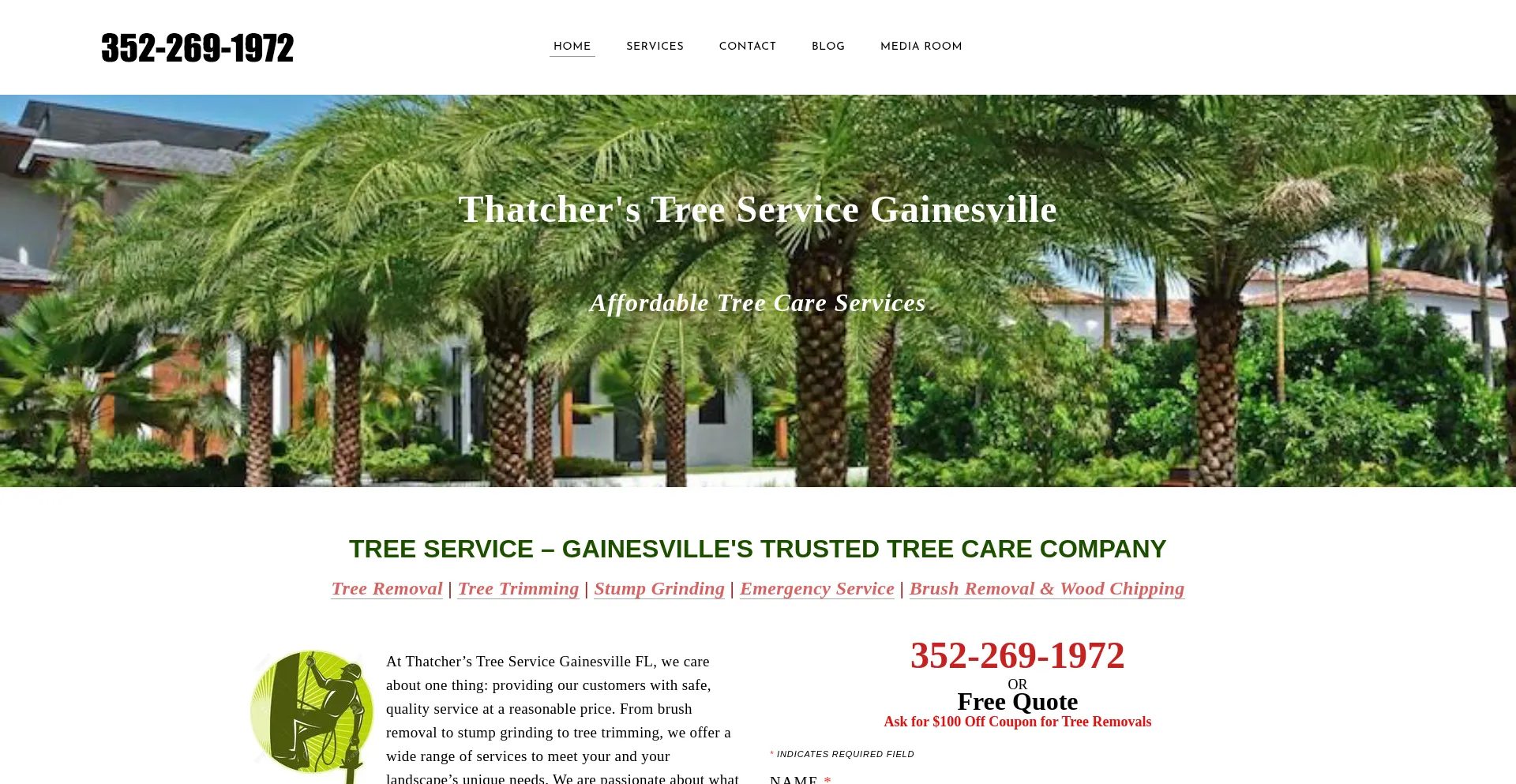 Website screenshot of Treeservicesgainesvillefl.com