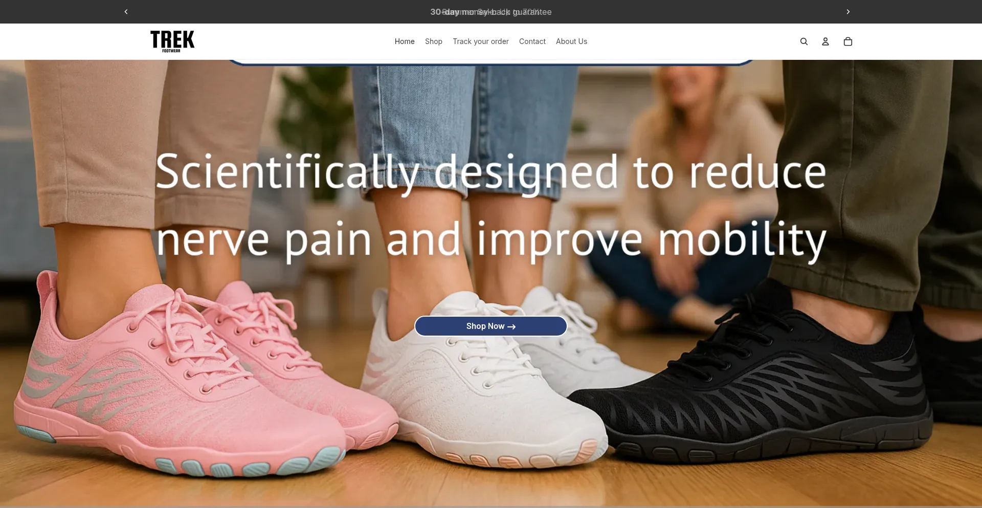 Website screenshot of Trekfootwear.com