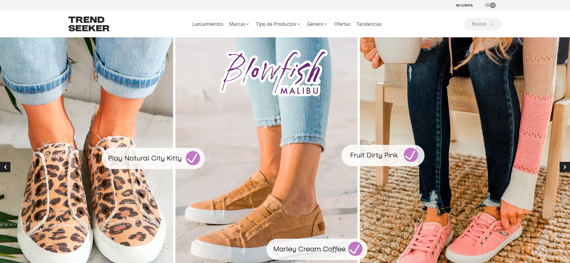 Website screenshot of Trendseeker.cl