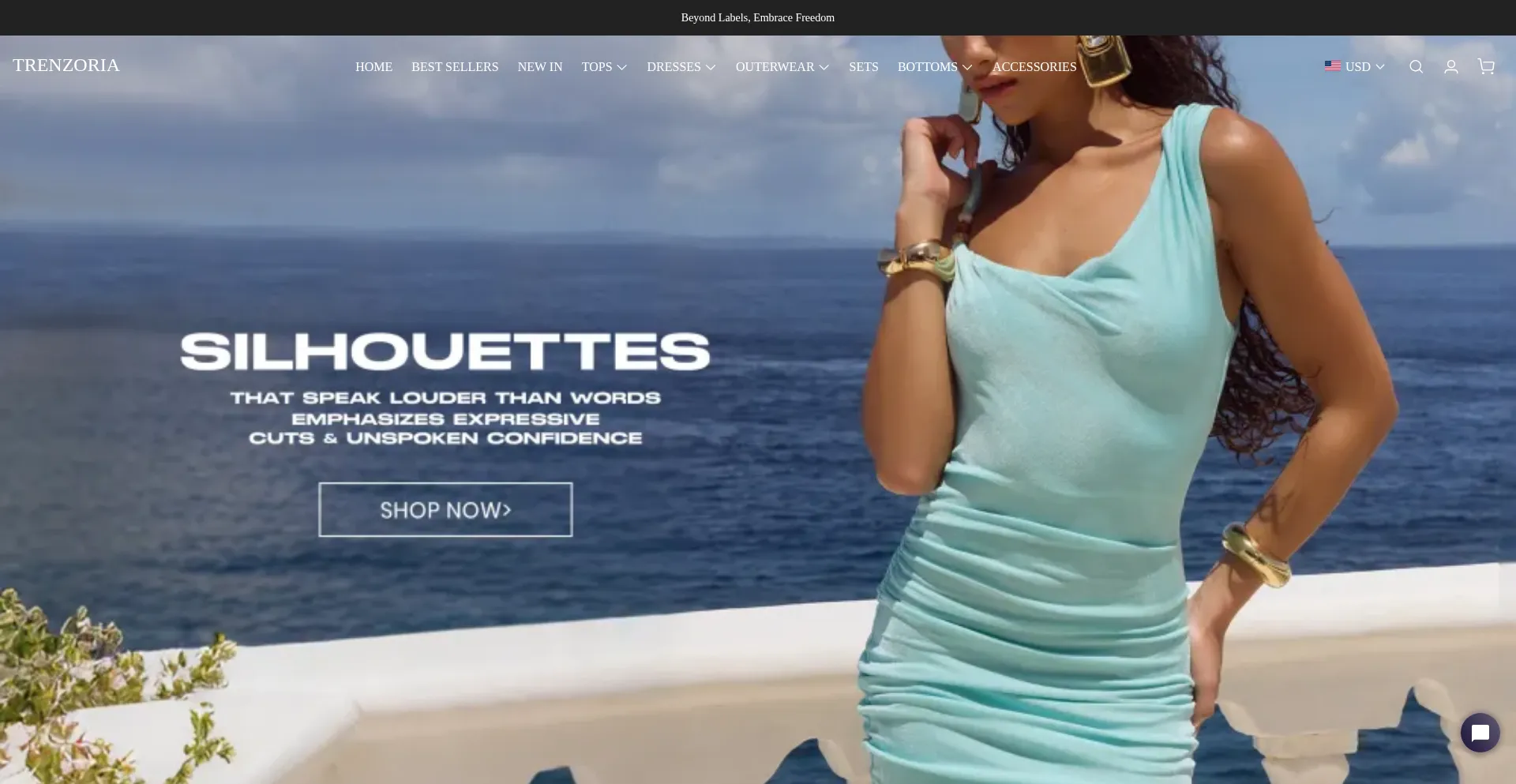 Website screenshot of Trenzoria.com