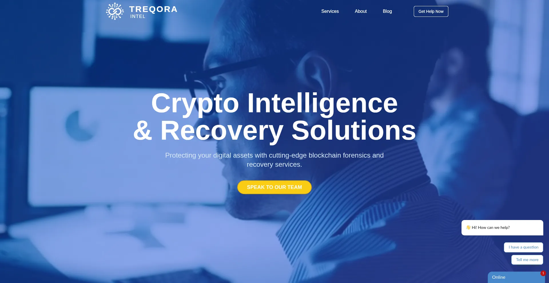 Website screenshot of Treqora.com