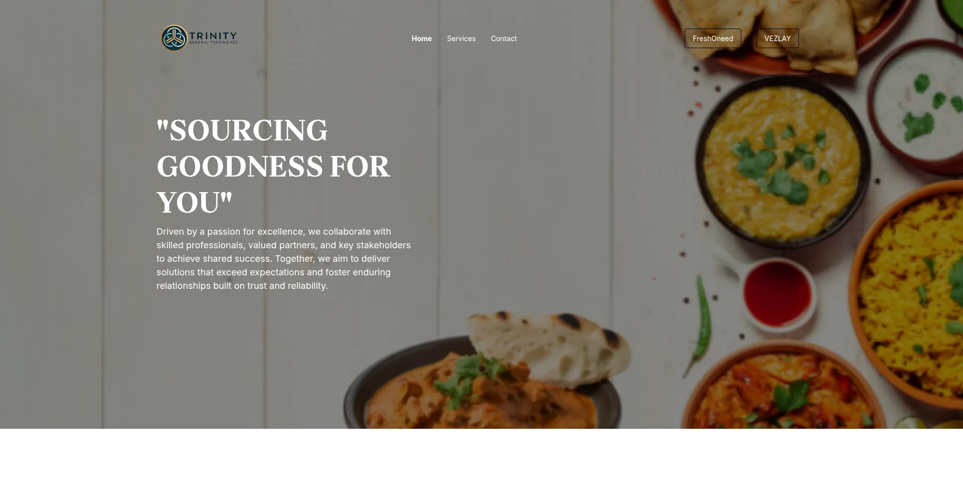 Website screenshot of Trinityfzc.com