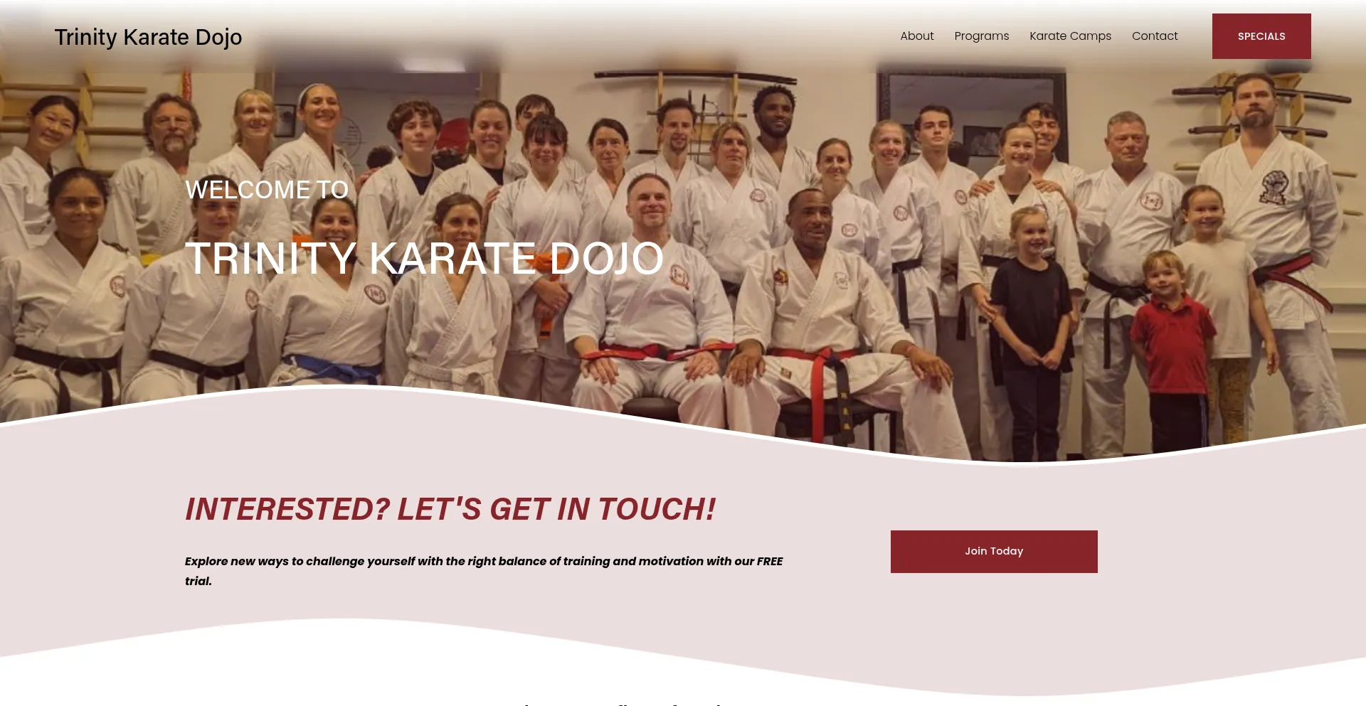 Website screenshot of Trinitykaratedojo.com